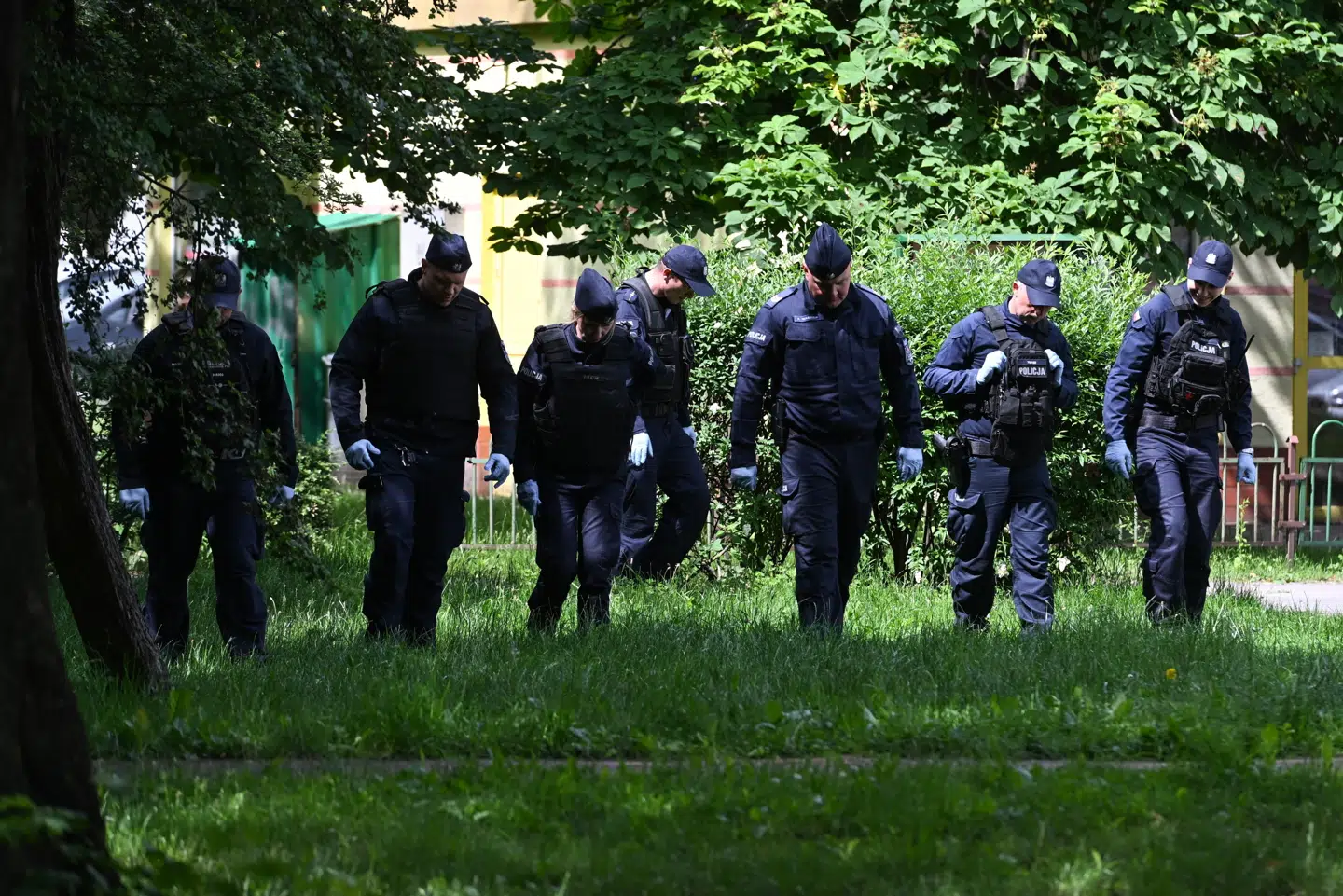 Ifølge den polske tv-kanal wPolsce24 blev den russiske kunstner skudt på klos hold.