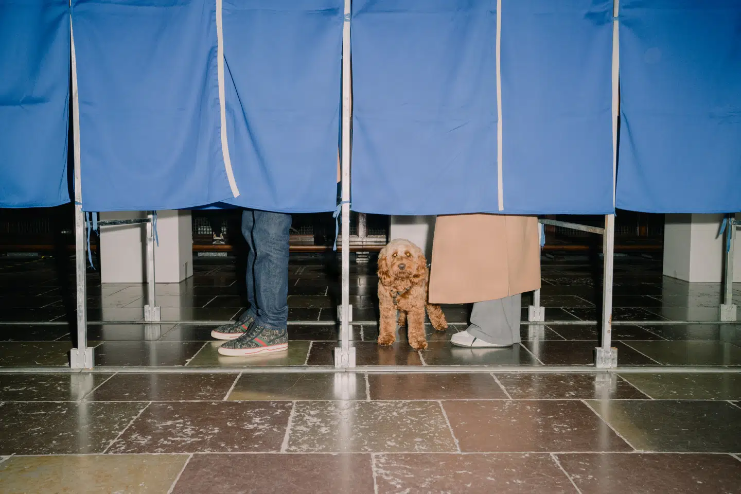 Der er mange gode grunde til at sænke stemmeretten, skriver Asgar Landin. Foto: Rune Øe
