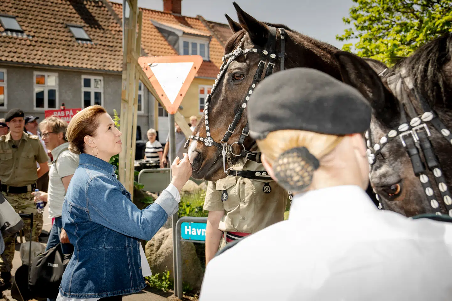 Statsminister Mette Frederiksen (S) hilser på heste under Folkemødet i Allinge på Bornholm. Foto: Mads Claus Rasmussen/Ritzau Scanpix