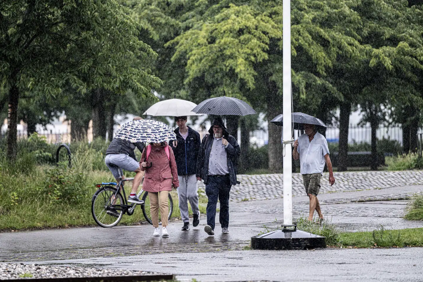 Sommervarmen kan natten til lørdag sende skybrud ind over Danmark. De kraftige byger vil i første omgang ramme Sønderjylland og senere bevæge sig ind over landet, oplyser DMI. (Arkivfoto).