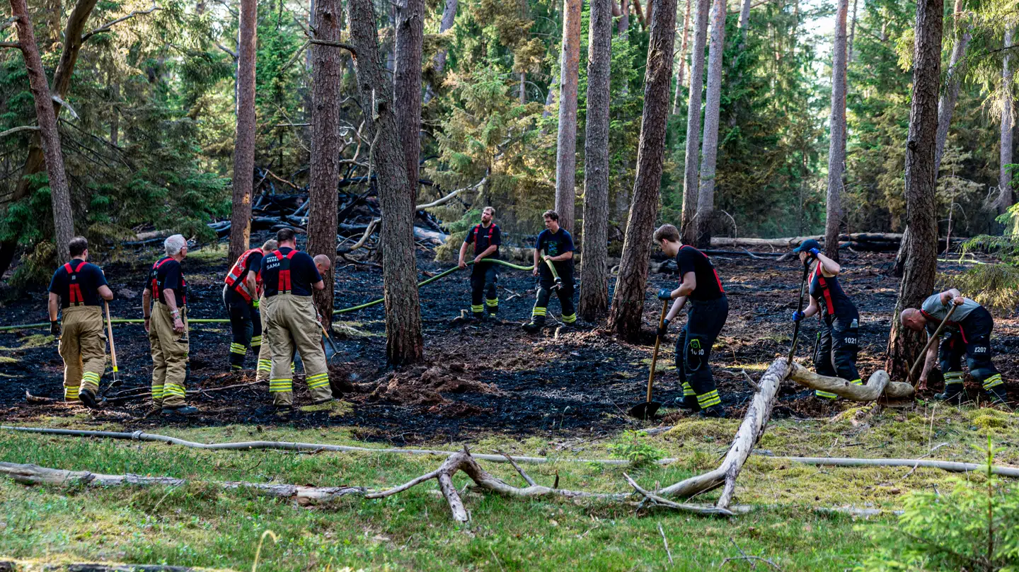 Politi og beredskab er til stede i Tisvilde Hegn hvor der er opstået brand lørdag den 20. juni 2026.