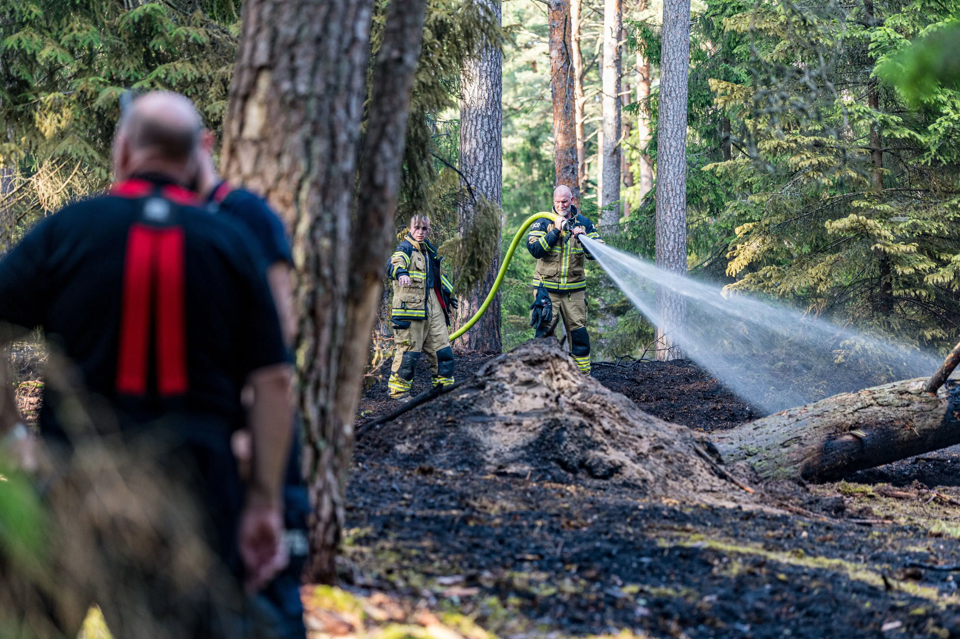 Beredskab skal efterslukke naturbrand ved Tisvilde Hegn