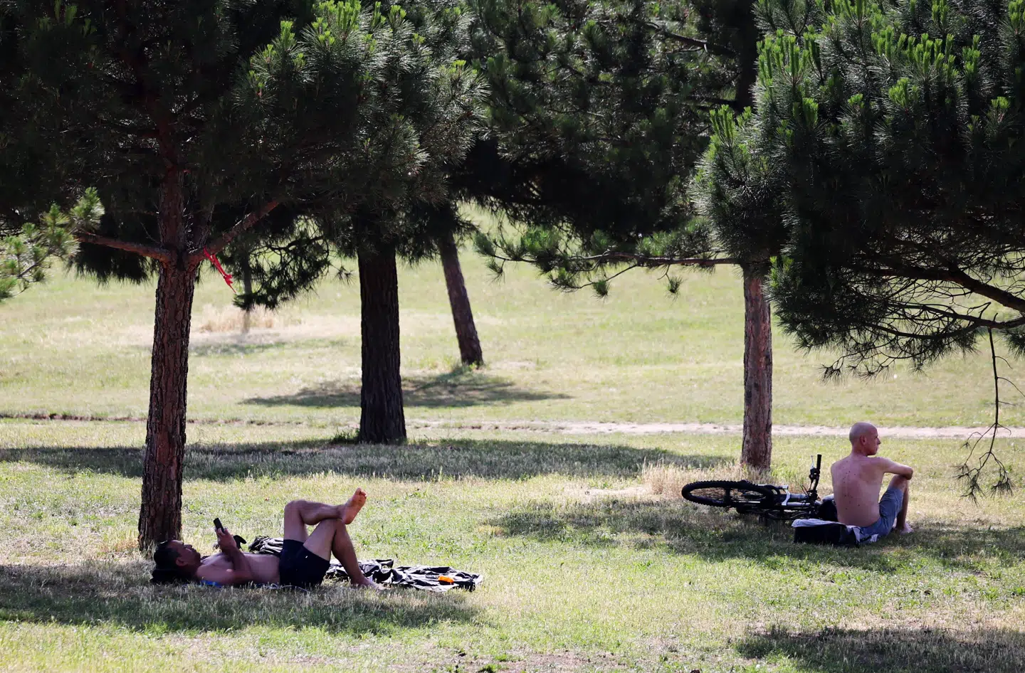 Folk ses her ligge i skyggen i en park i Storbritannien den 23. juni.