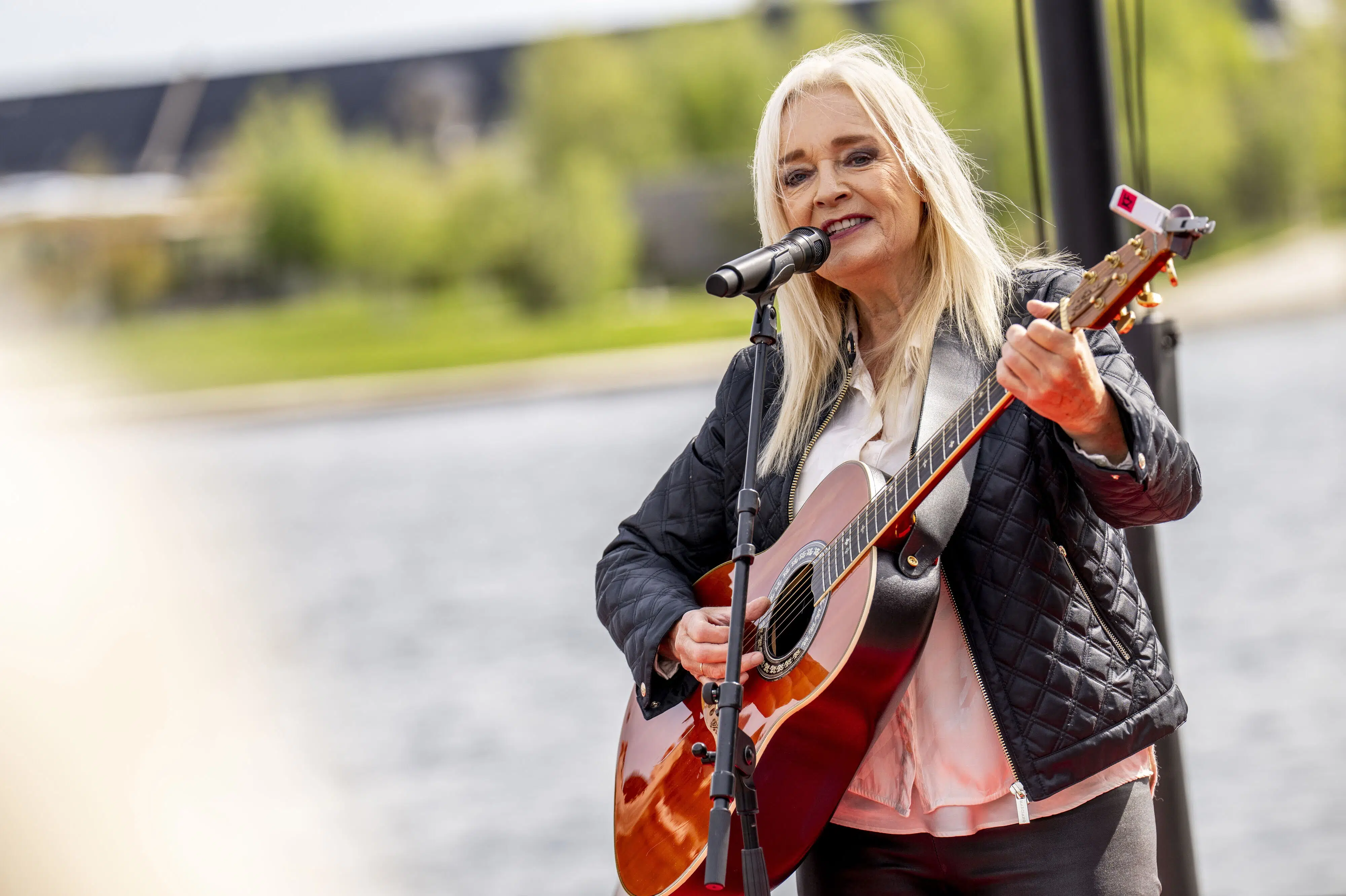 Anne Linnets ulovlige hegn og hæk ved Københavns Havn skal fjernes