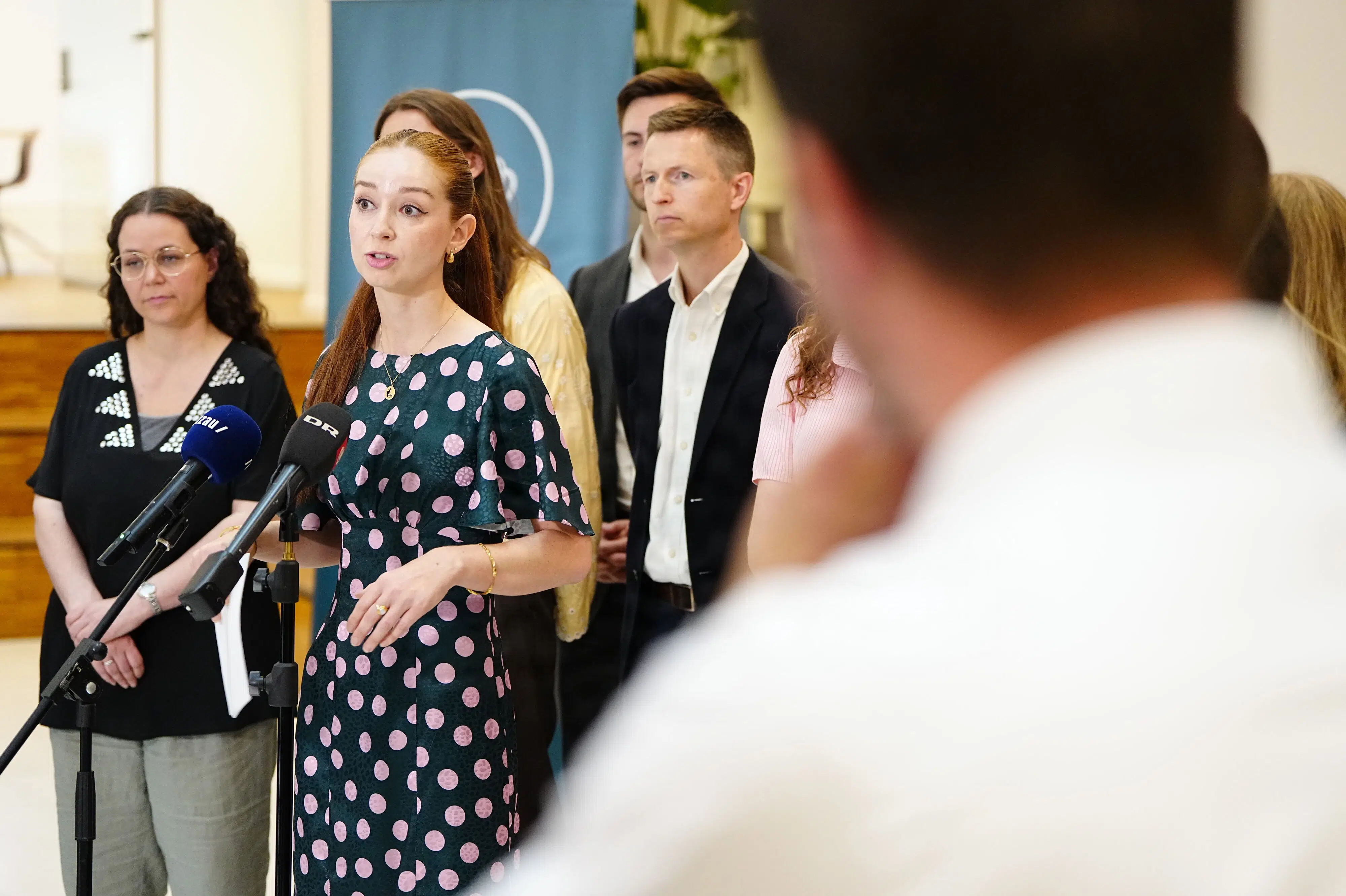 Professor forudser flere års arbejde med at udbygge elnettet