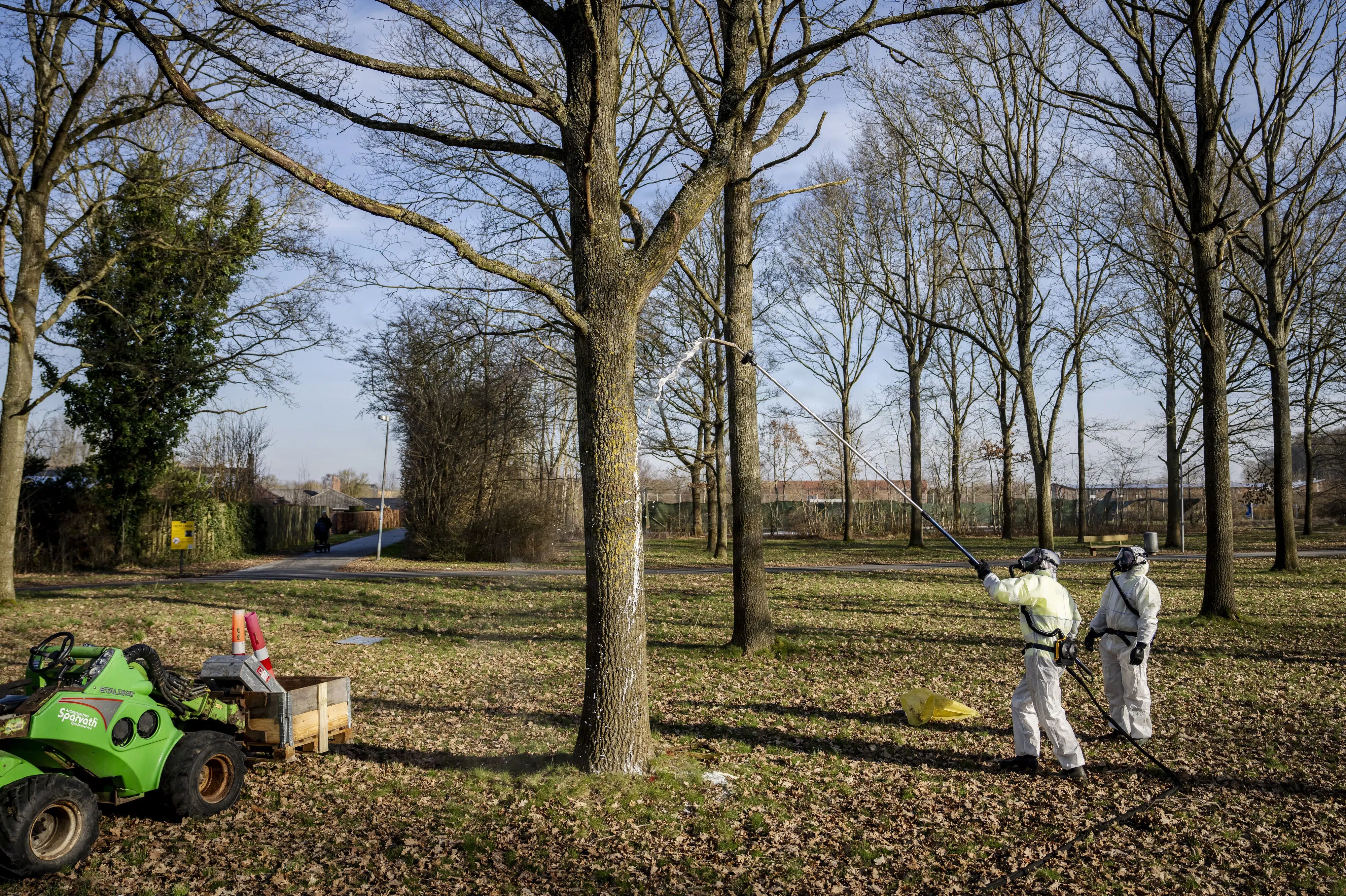 Flere end 600 har meldt sig til borgermøde om giftige larver