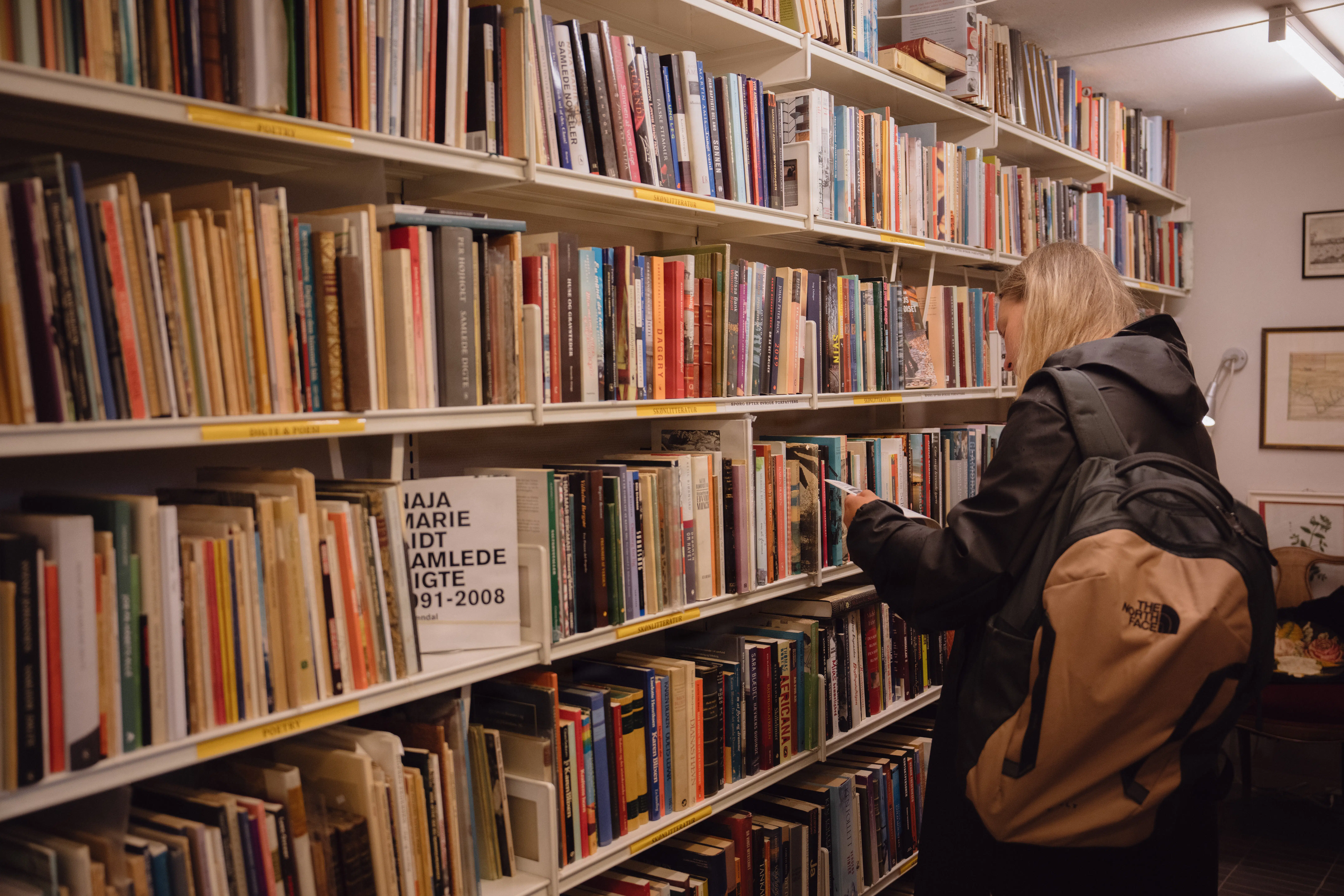Literature is a Pillar of Danish Culture. But We Are Forgetting a Crucial Question