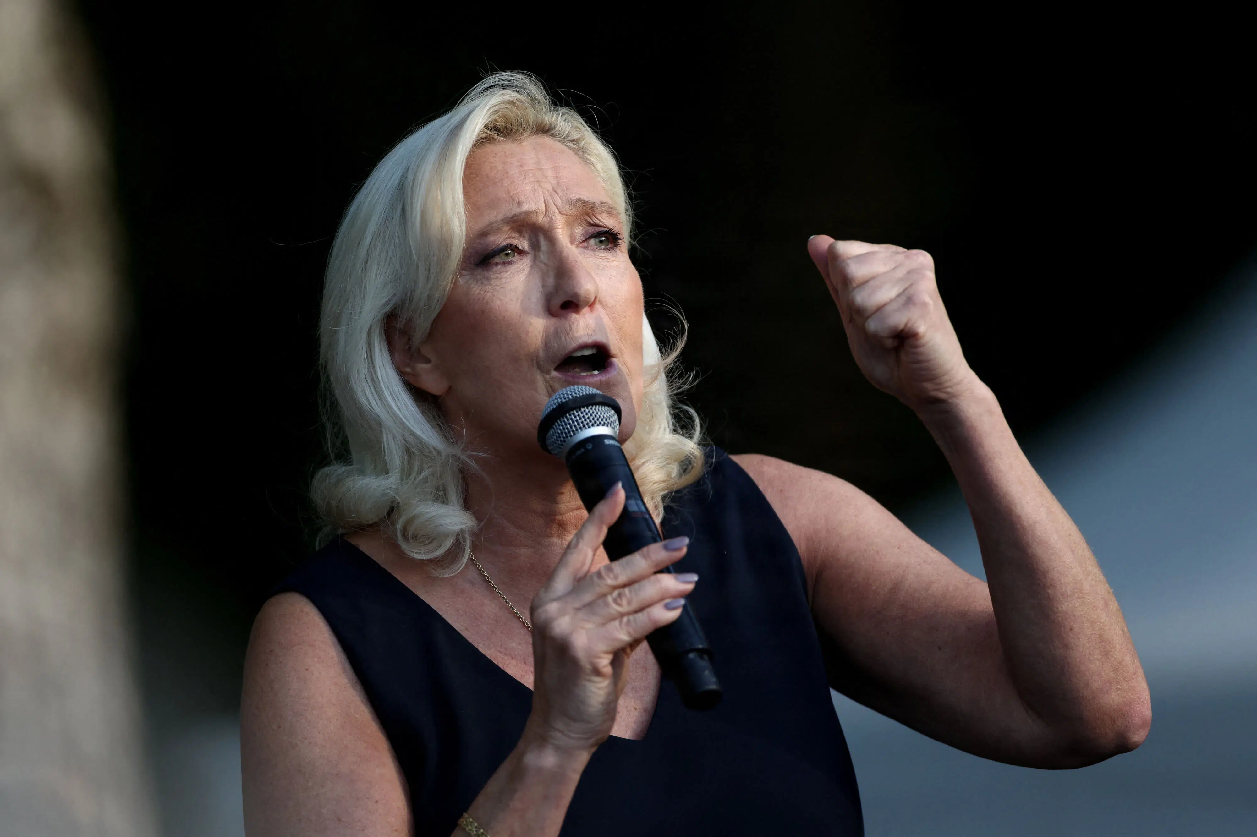 BLÅ BOG: Marine Le Pens ankesag er afgjort