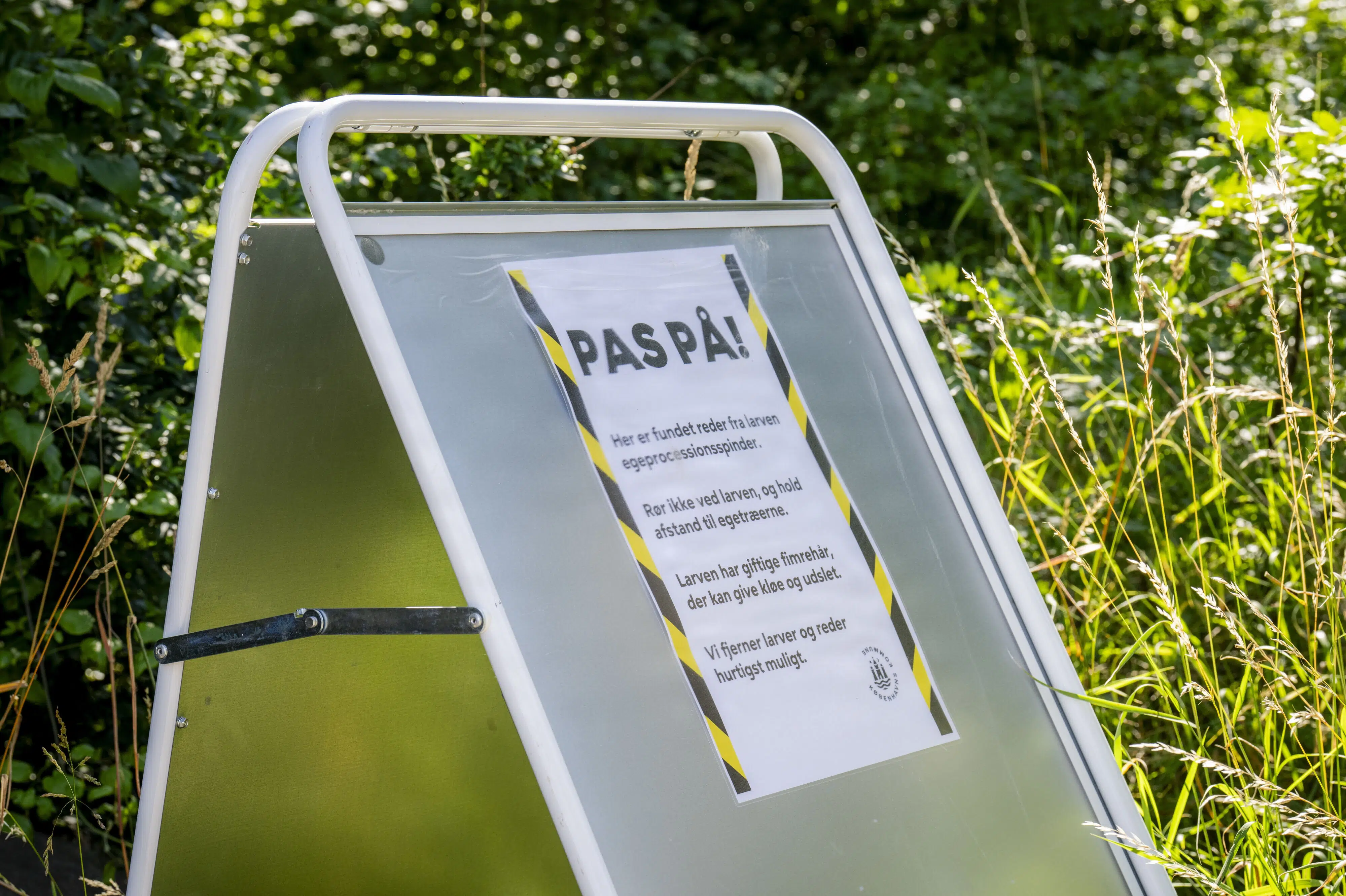 Udskældt larve fundet i endnu en fynsk kommune