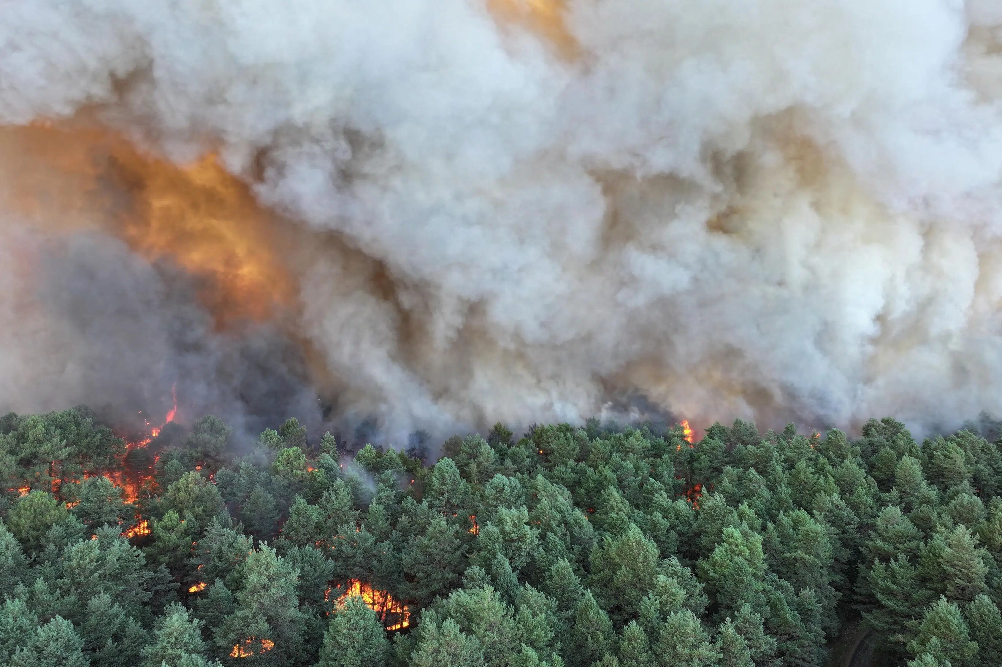 Voldsom brand hærger skov nær Paris: Spreder sig fortsat