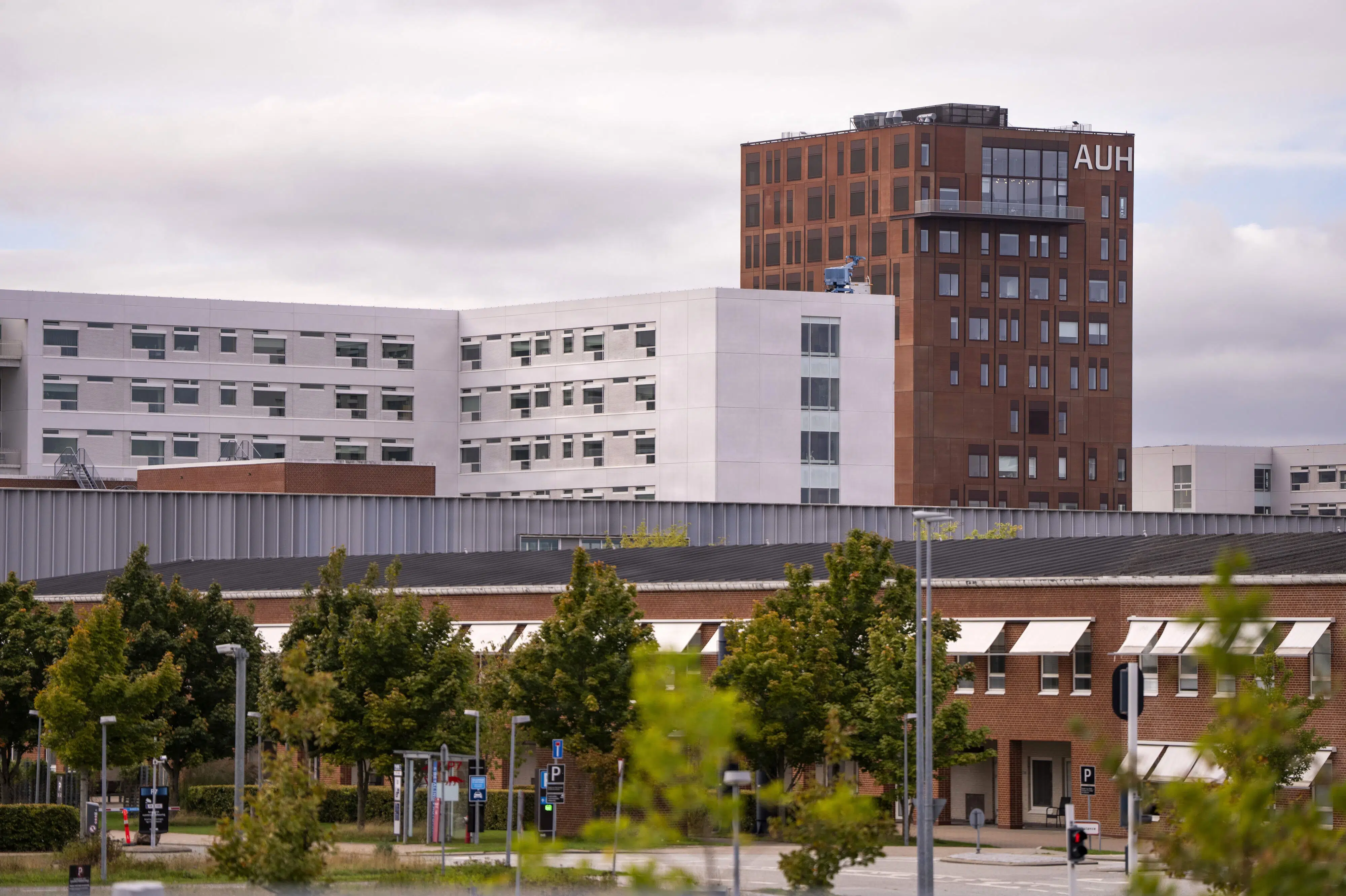 Dansker får som den første 3D-printet kranie efter ulykke