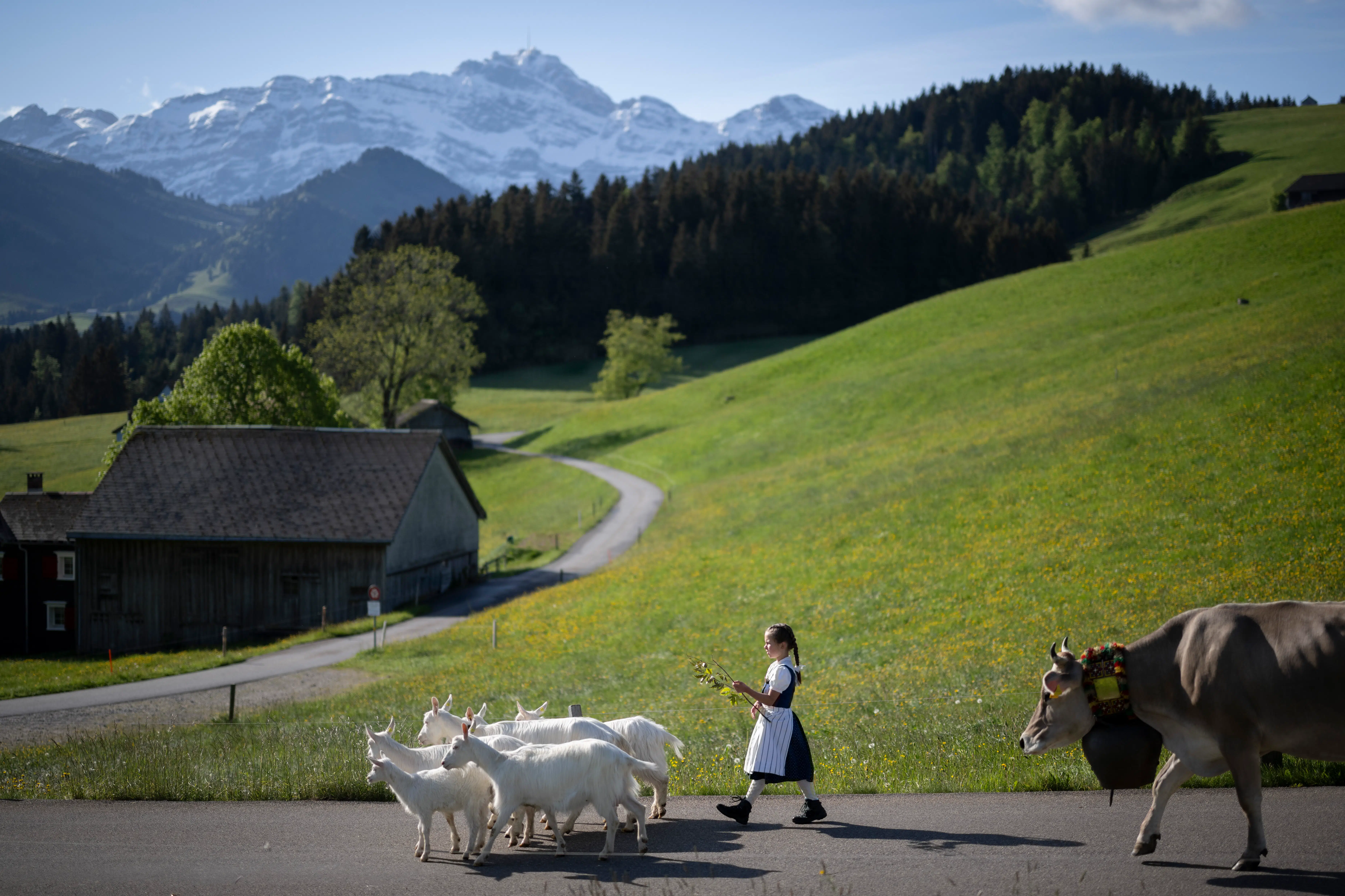 Er du rigtig klog: Hvad ved du om Schweiz?
