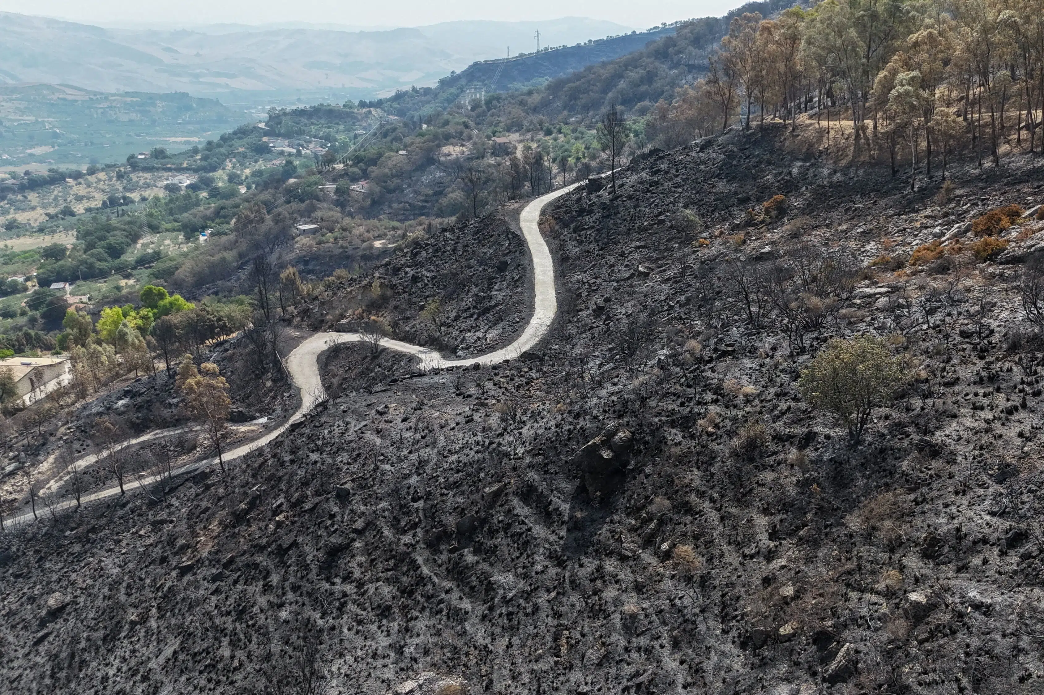 Flere brandfolk er omkommet i sydeuropæiske skovbrande