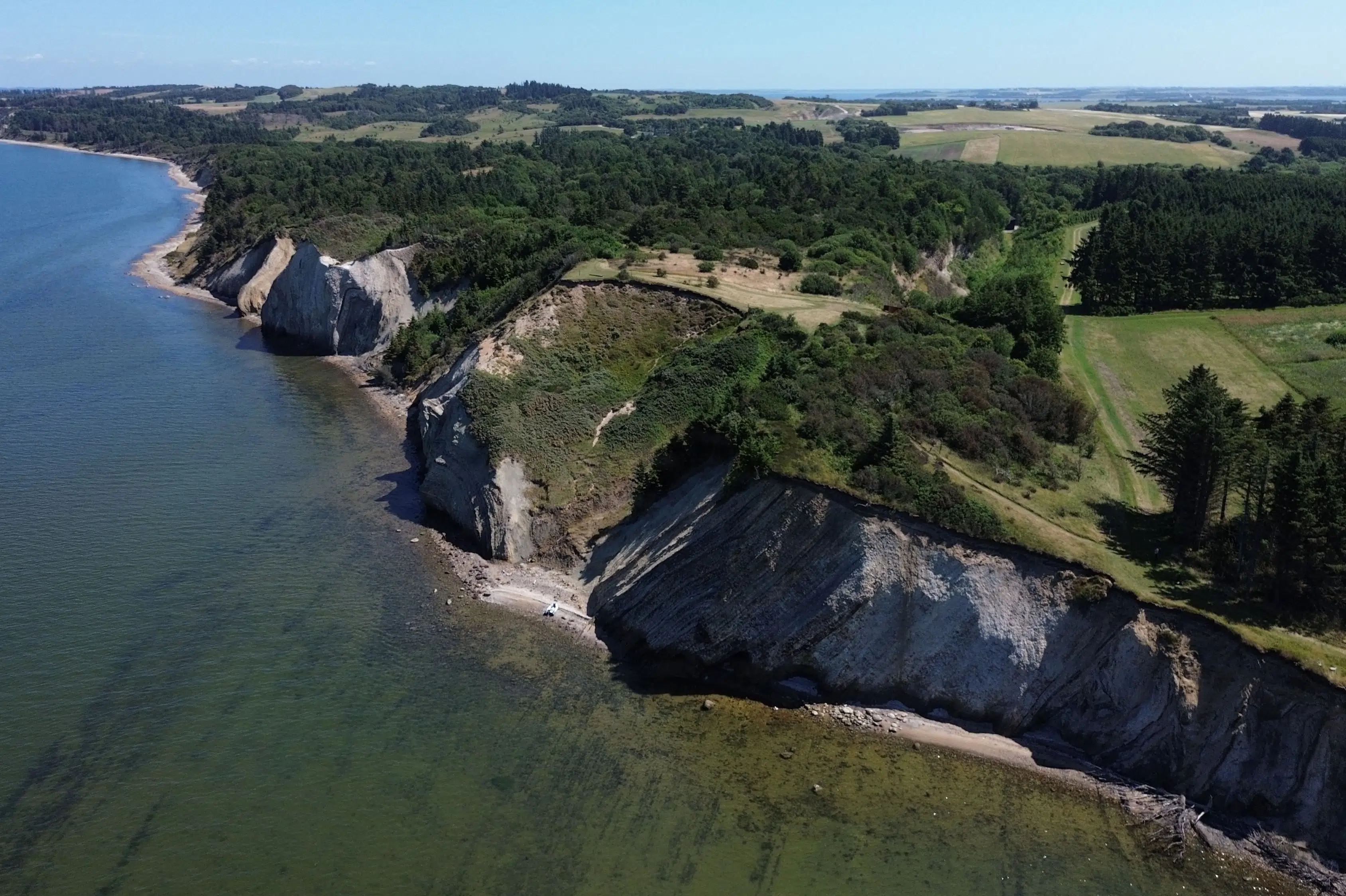 Fossiler fra Limfjorden kan blive verdensarv