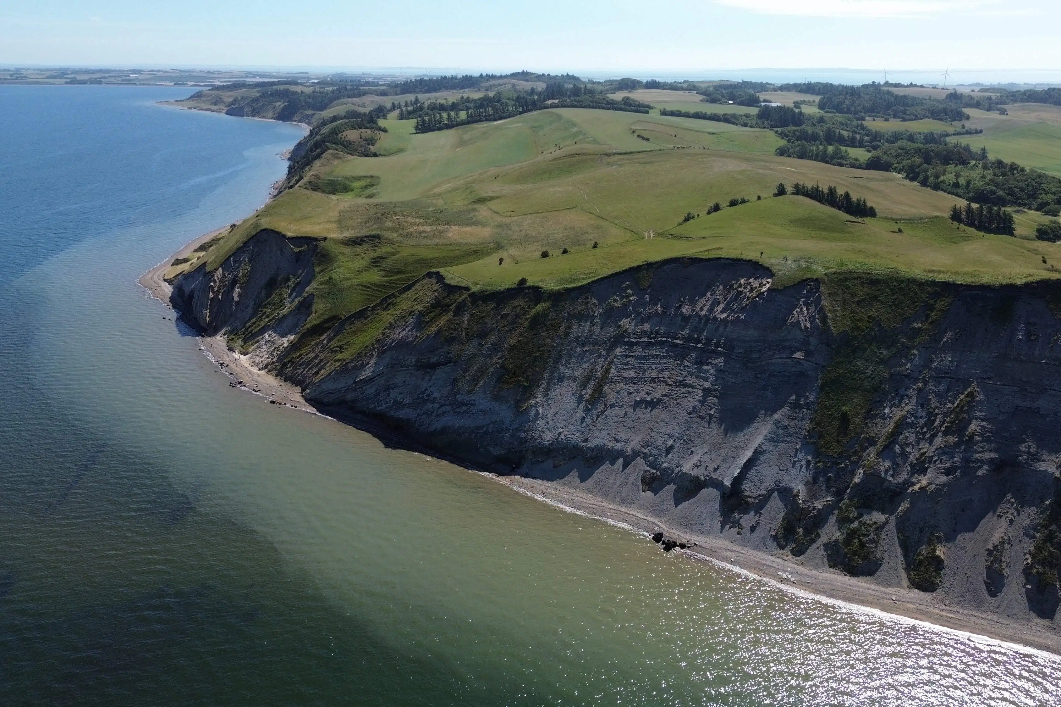 Fossiler fra Limfjorden optaget på Verdensarvslisten