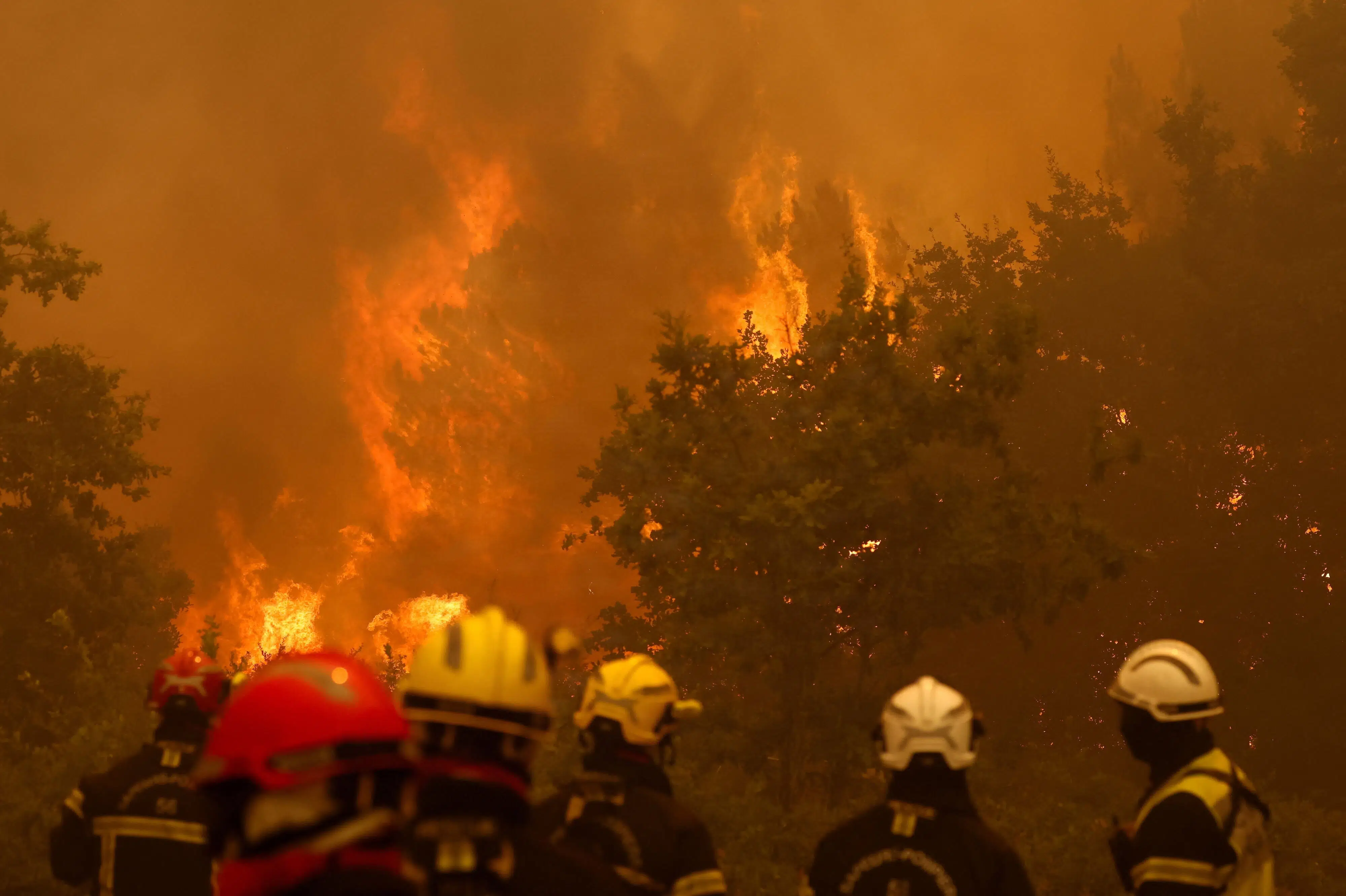 OVERBLIK: Naturbrande hærger i Frankrig og Spanien