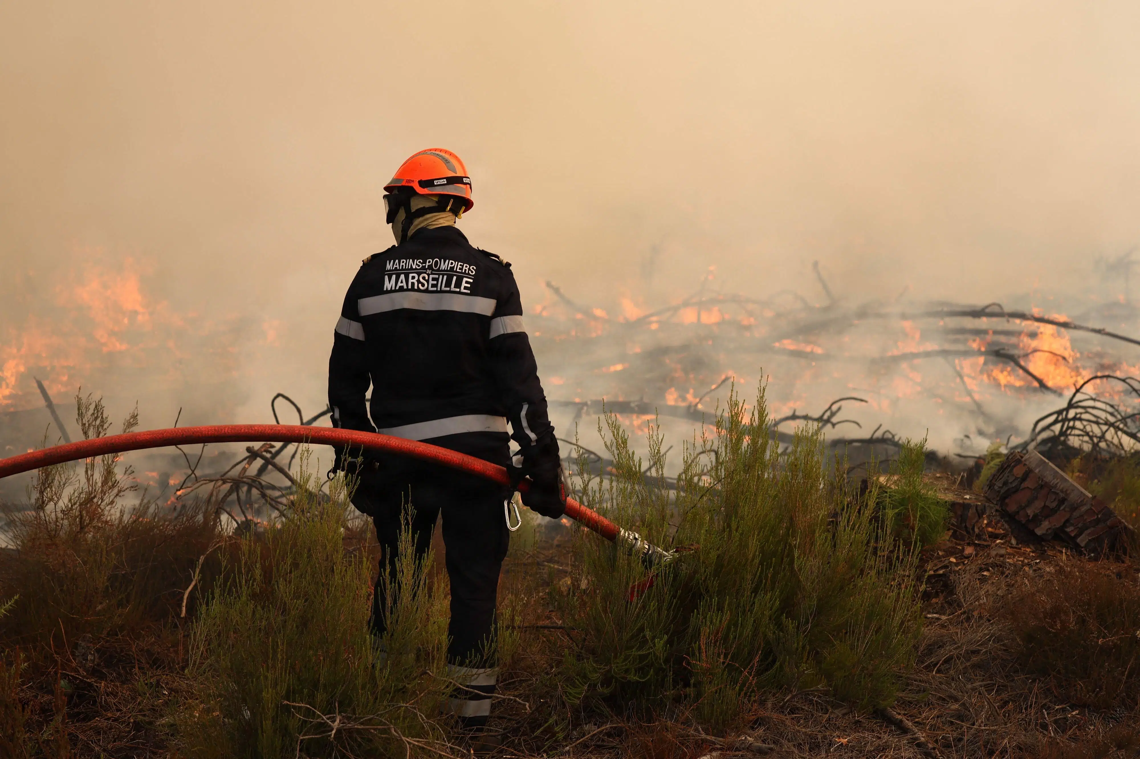 Bordeaux considers total evacuation as wildfires approach