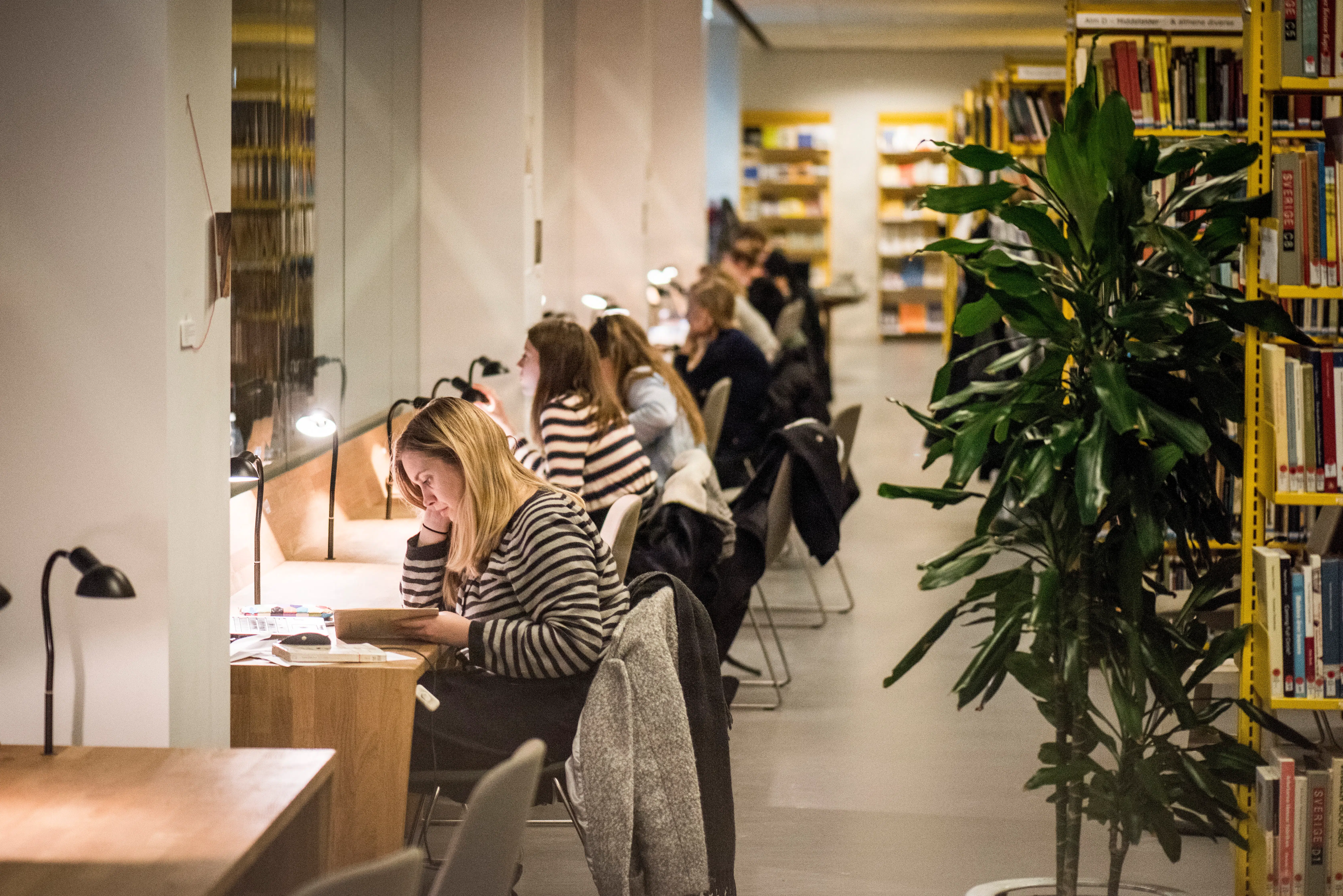 Underviser var censor på fire universiteter, hvor ai også sad til bords. Nu kommer hun med et varsel