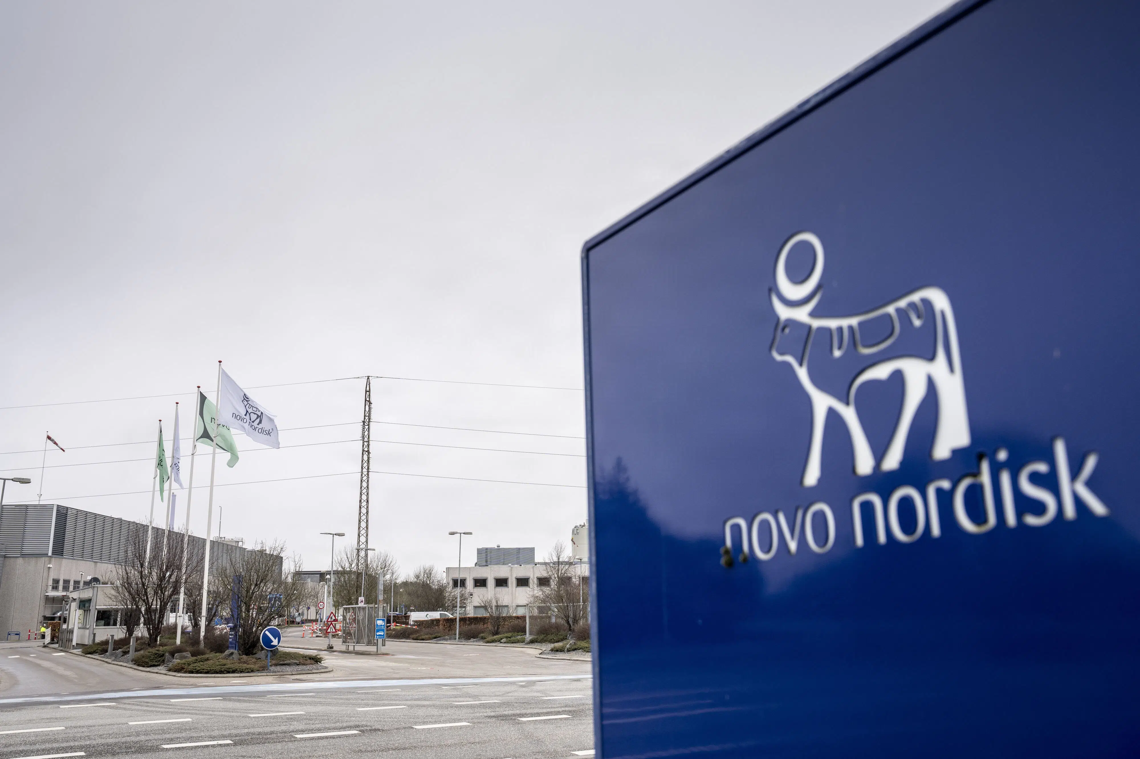 Investorer kan sagsøge Novo Nordisk for aktietab