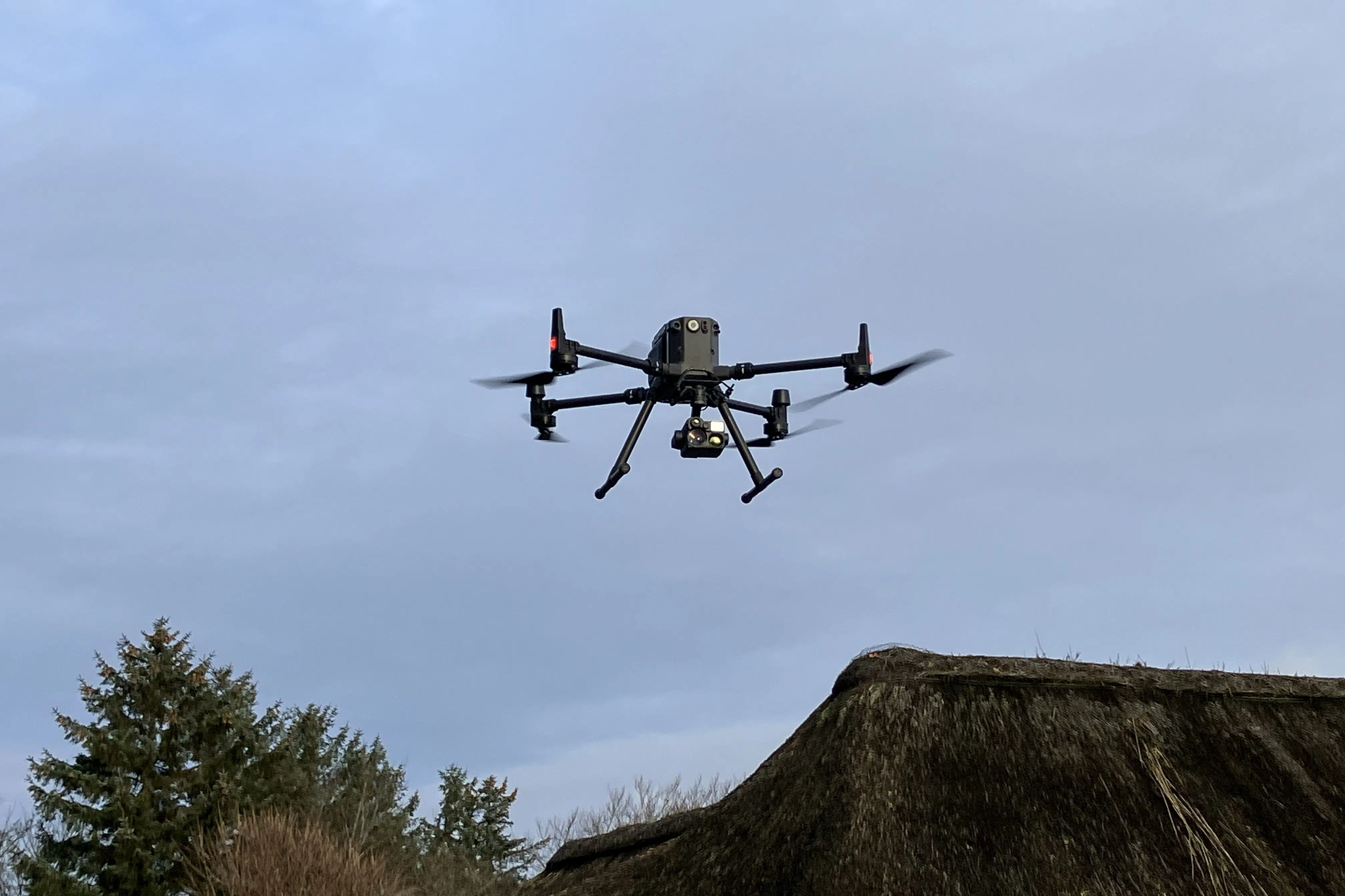 Droner og kunstig intelligens giver ny viden om jagende rovdyr