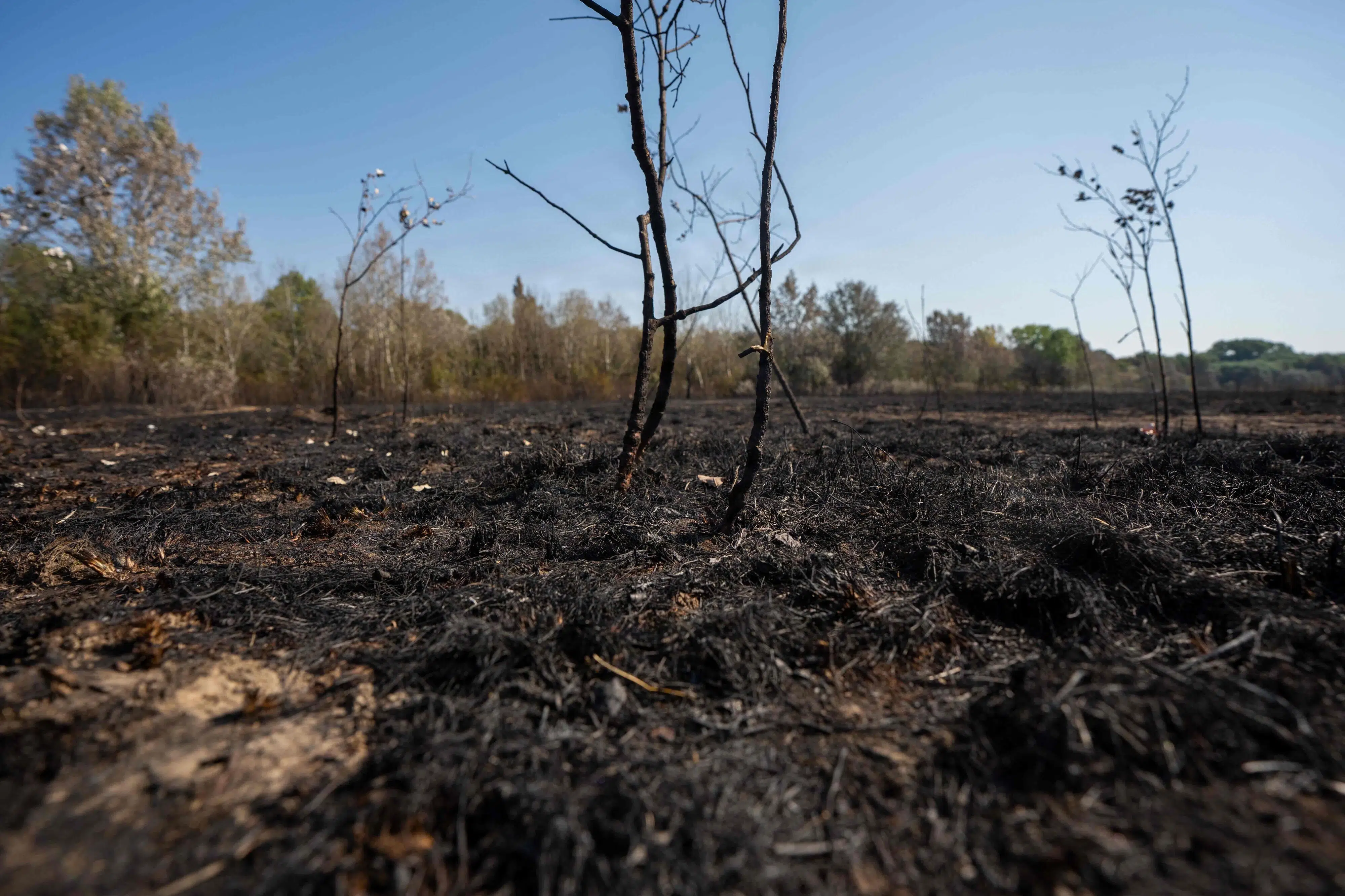 Østrig og Slovakiet måler højeste temperaturer nogensinde
