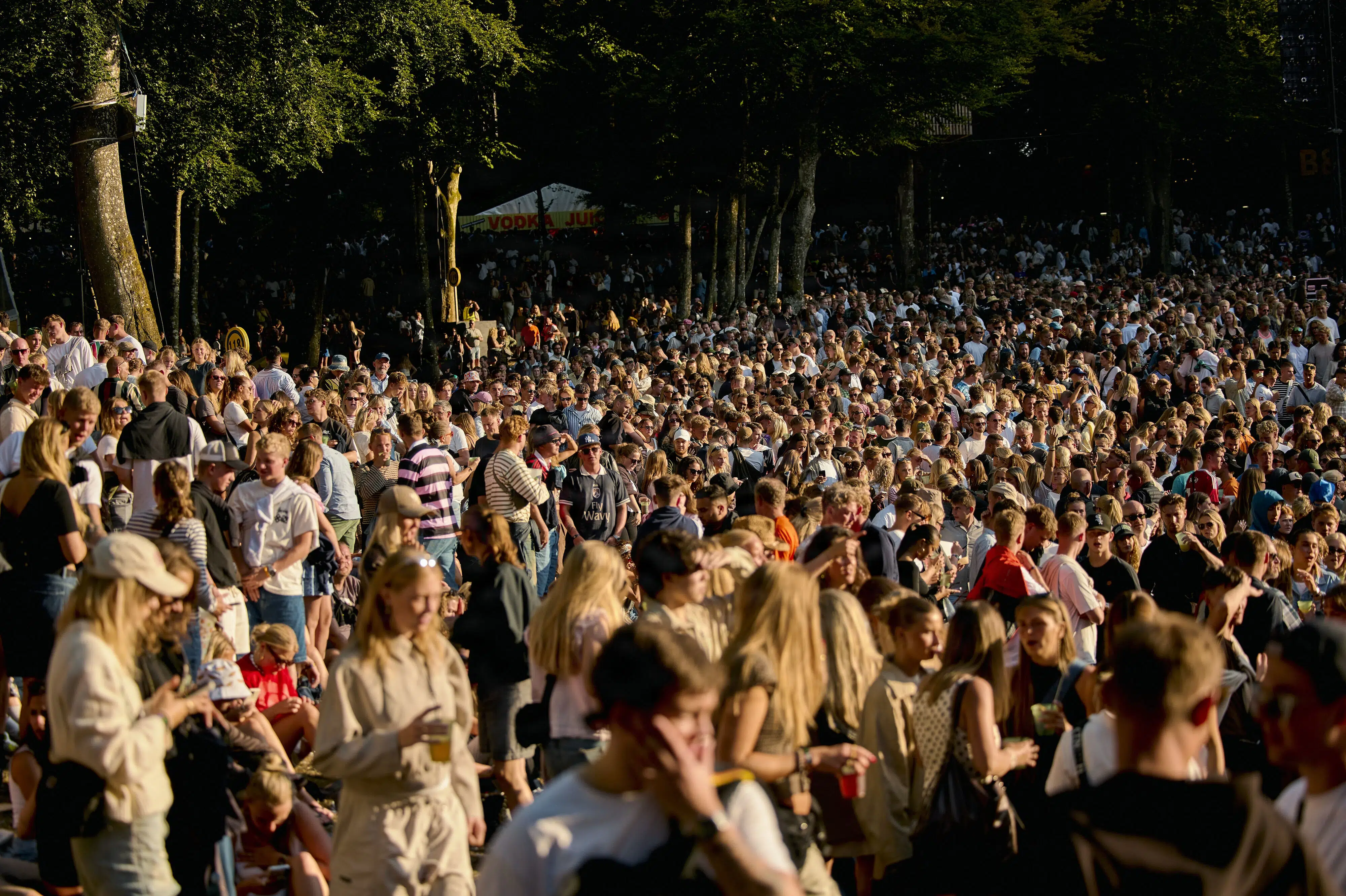 Manglende barrierer vækker kritik efter koncert på Smukfest