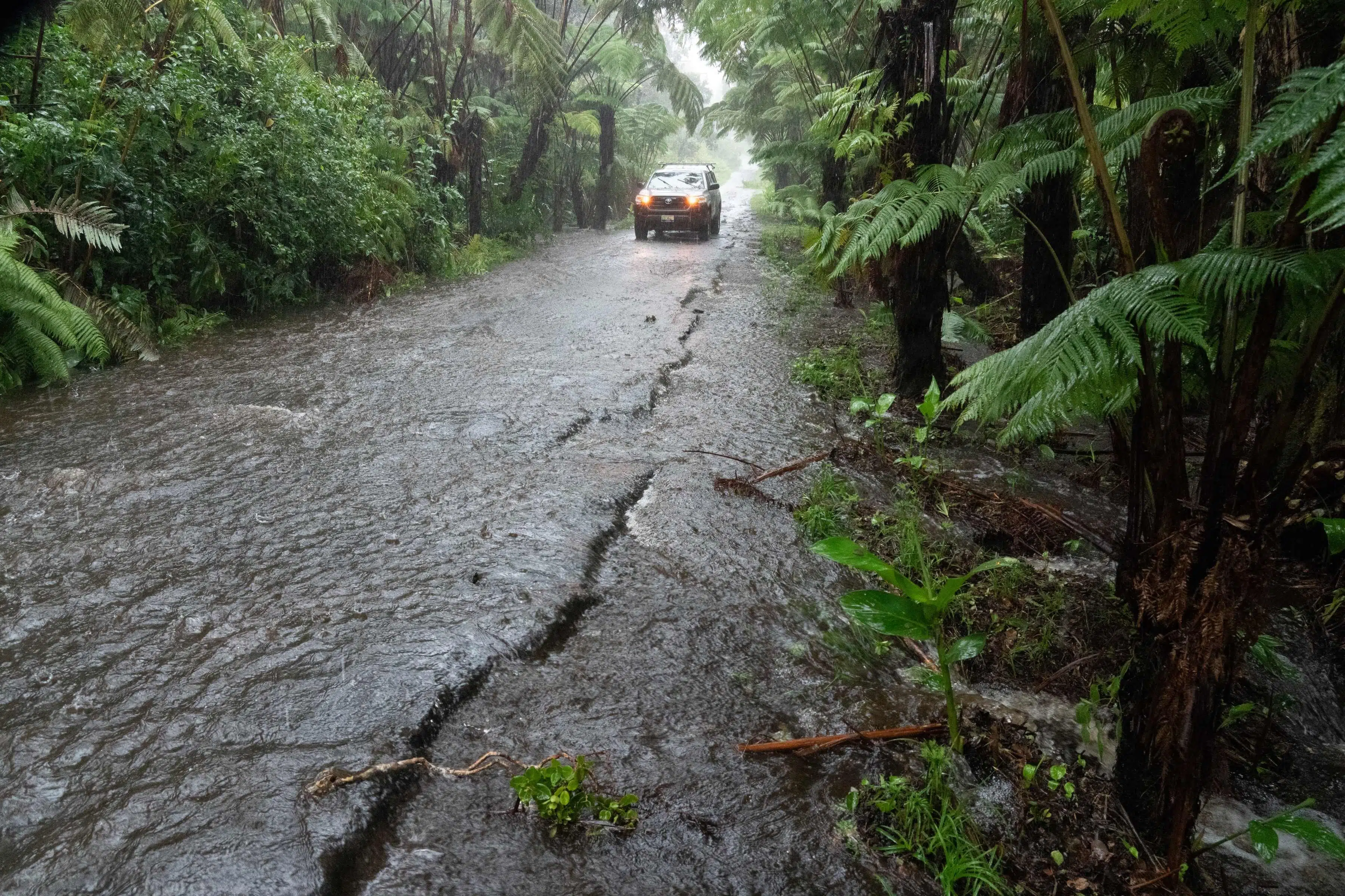 Kraftig vind og regn rammer Hawaii i forbindelse med orkan