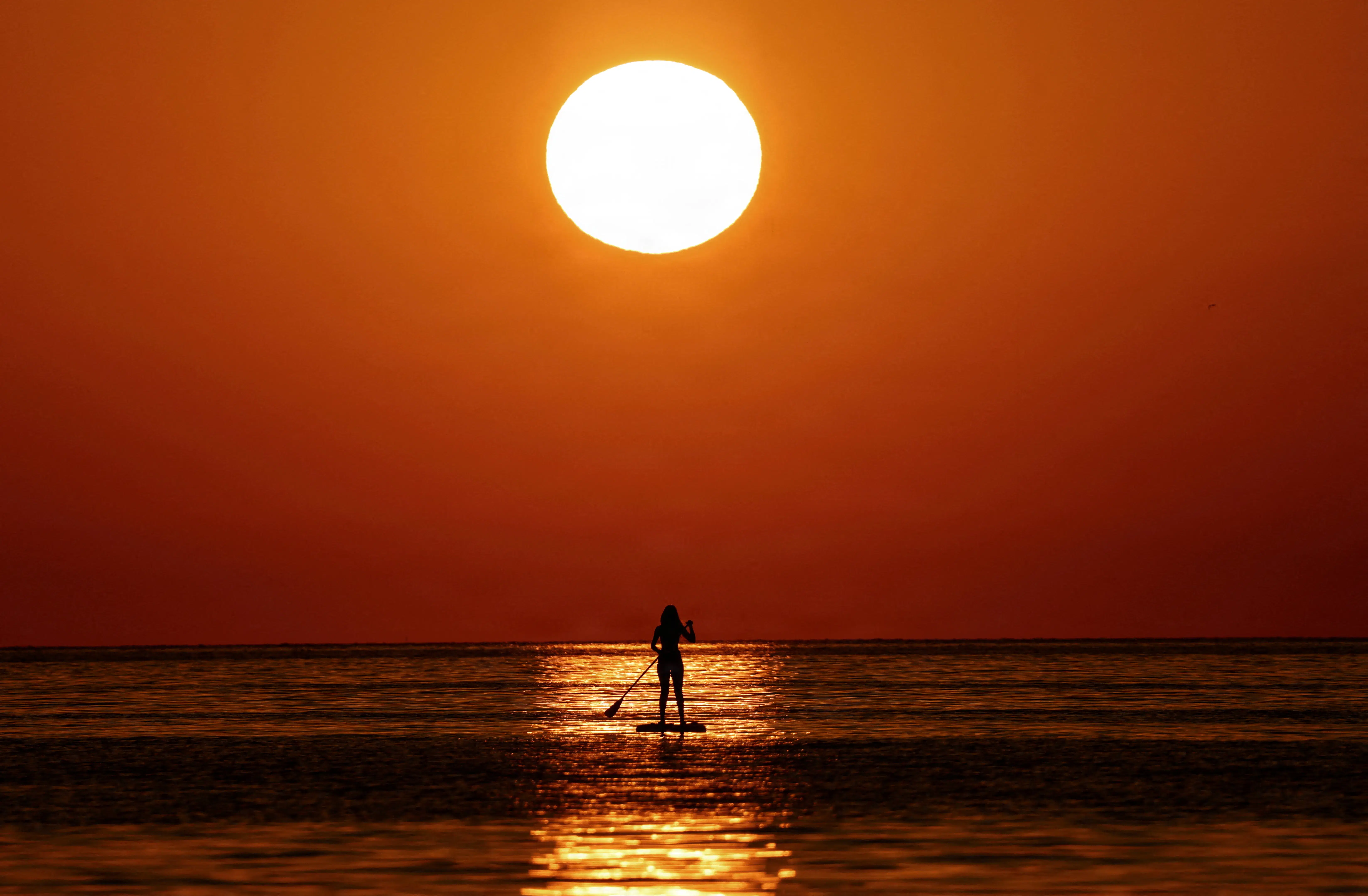 Scientists warn current climate change requires looking back 56 million years for parallels