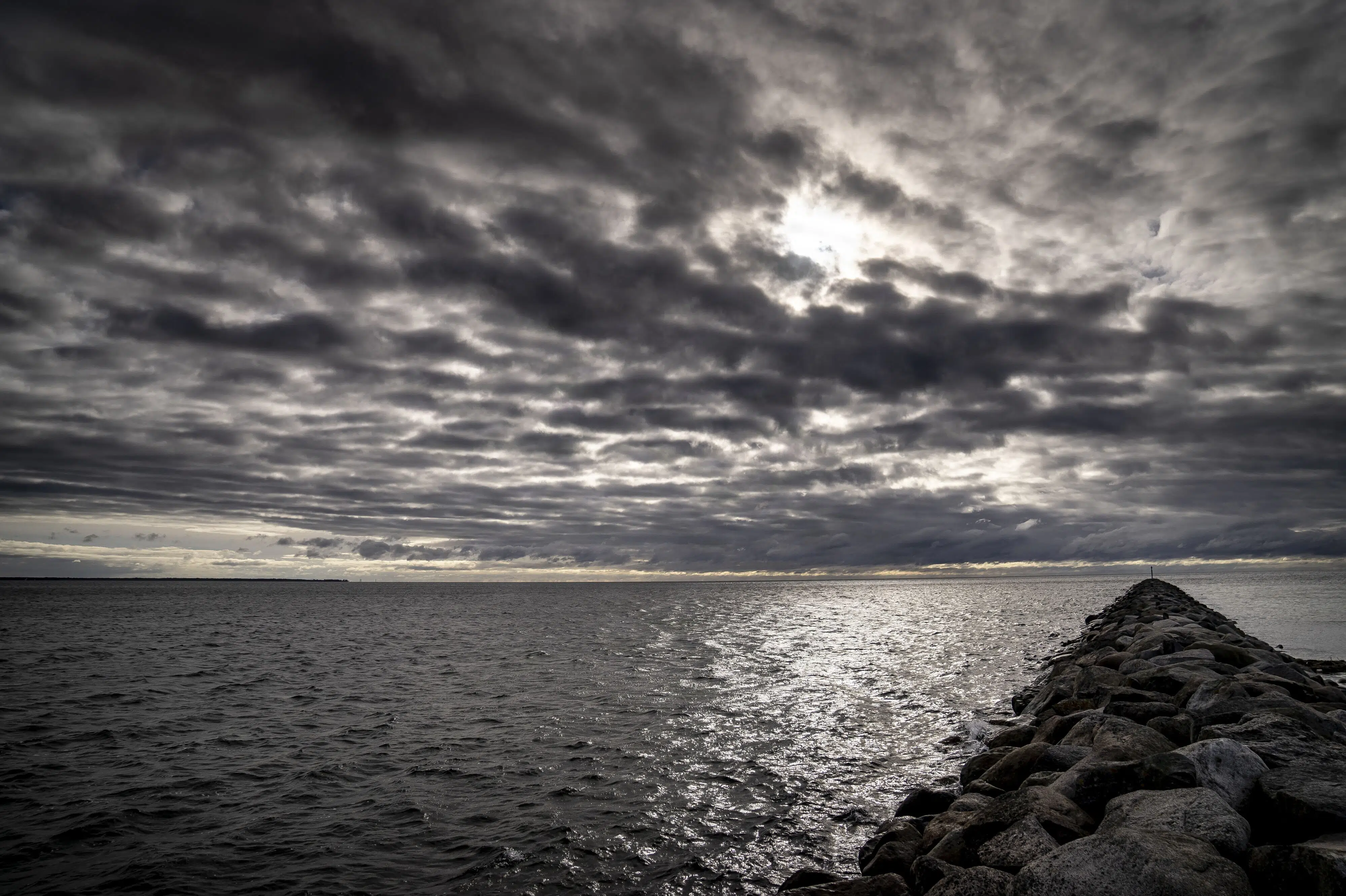 Ocean temperatures hit record high