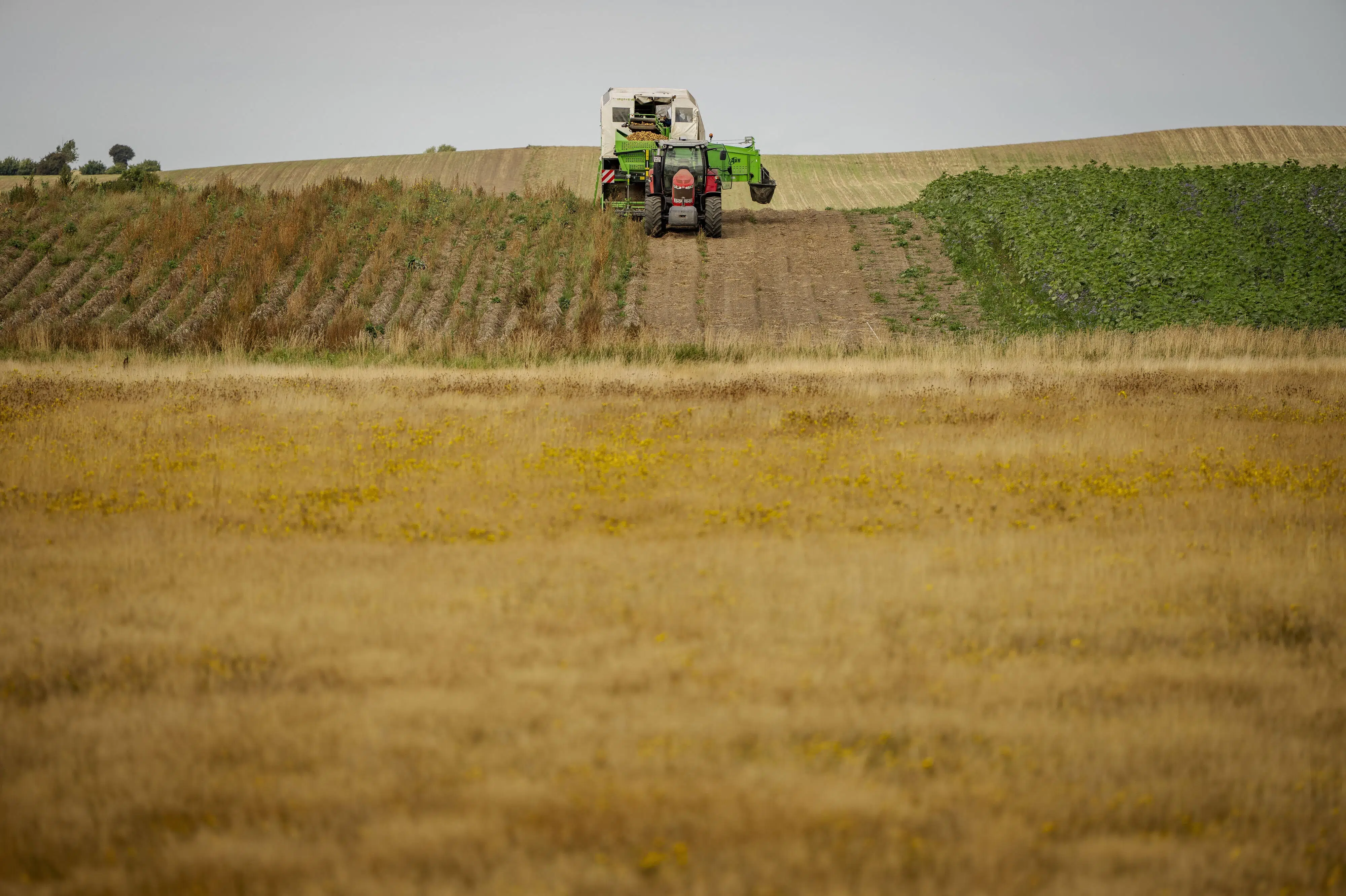 Fyn Farmers Demand Clarity, Threaten to Pause Green Tripartite Talks