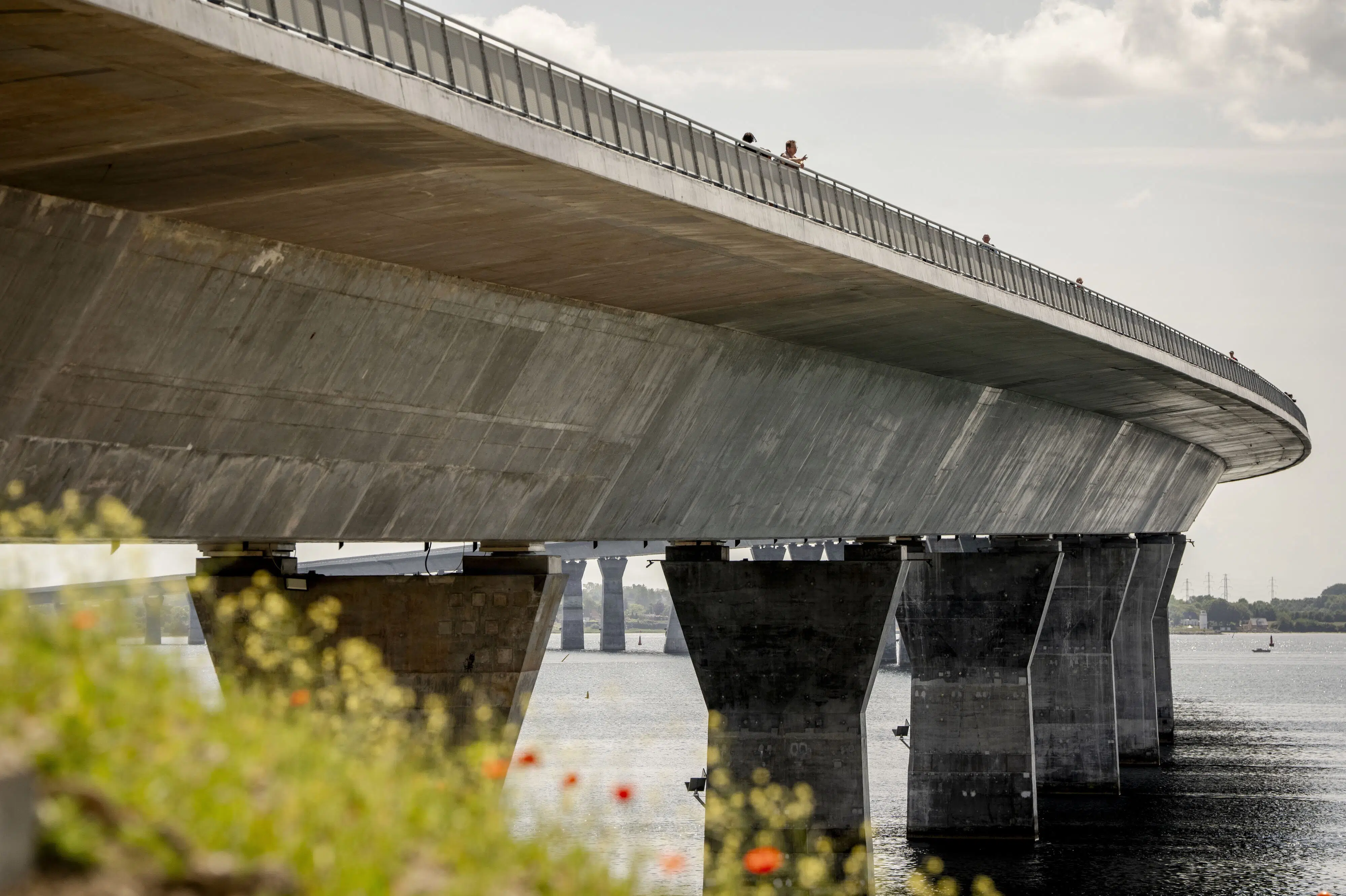 New Storstrøm Bridge Expected to Open to Rail Traffic Ahead of Schedule