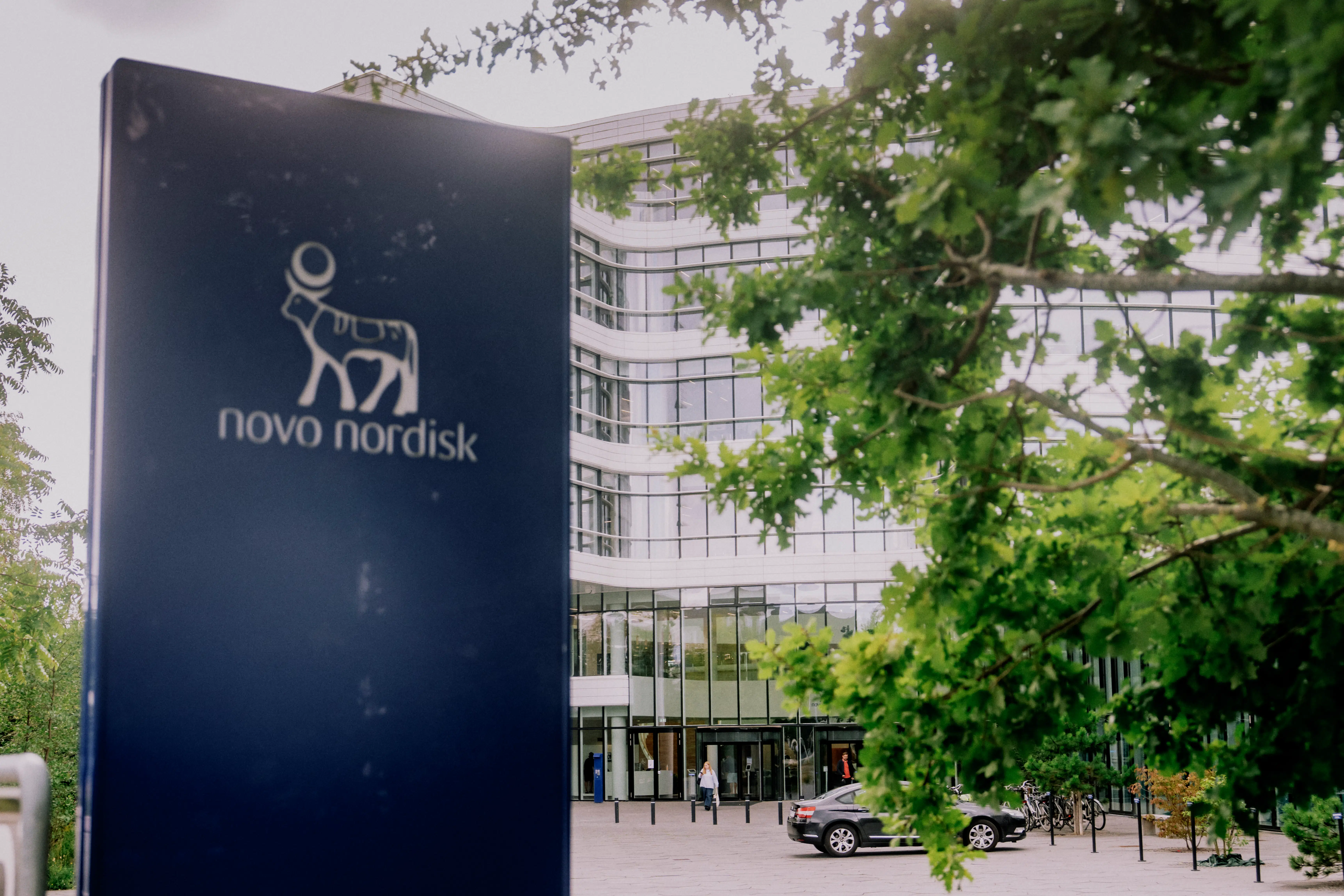 Business-update: Novo har bekæmpet fedme på recept – nu kan hårtab være det næste