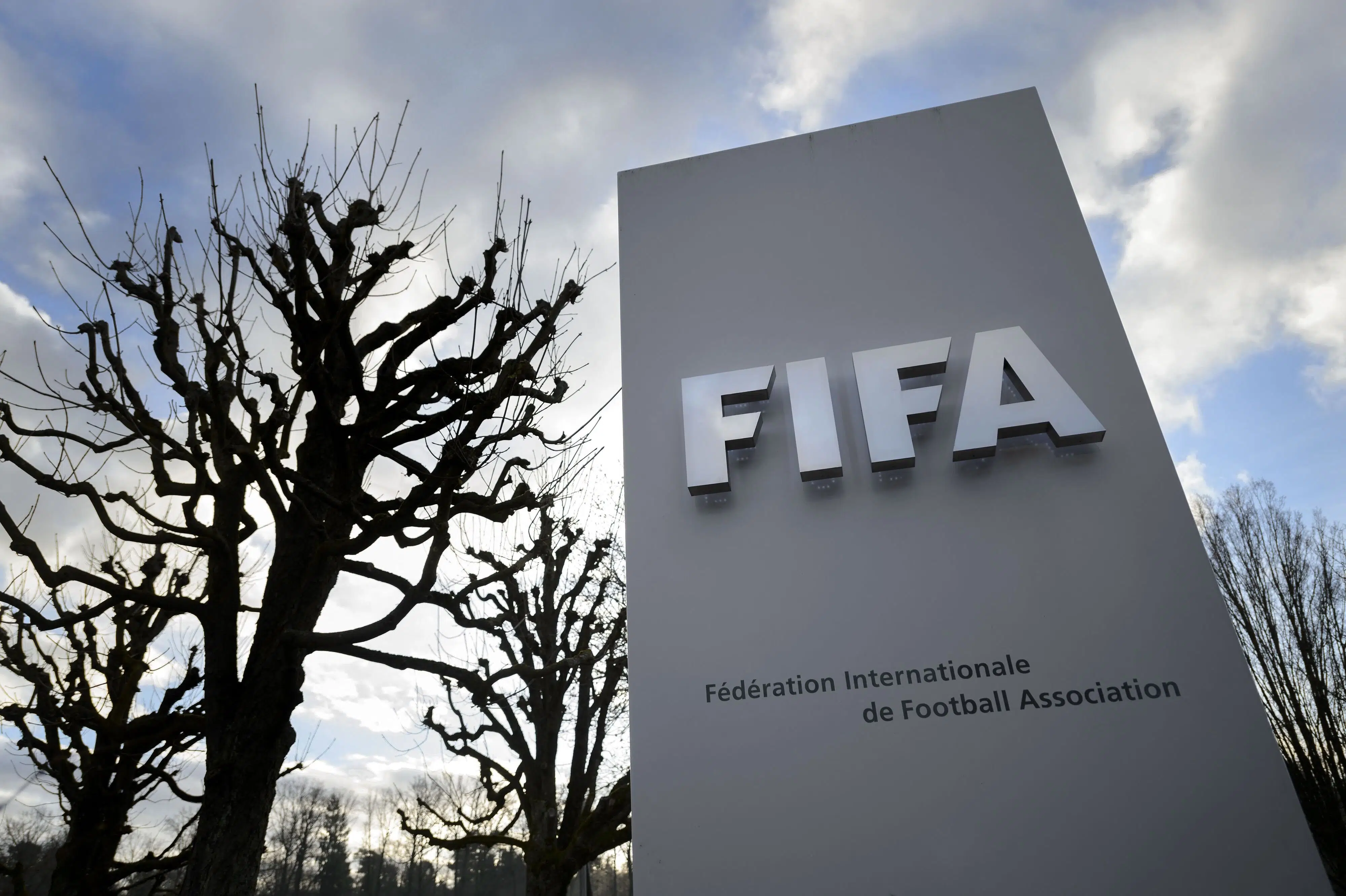 Europæiske topligaer kræver omfattende Fifa-reformer
