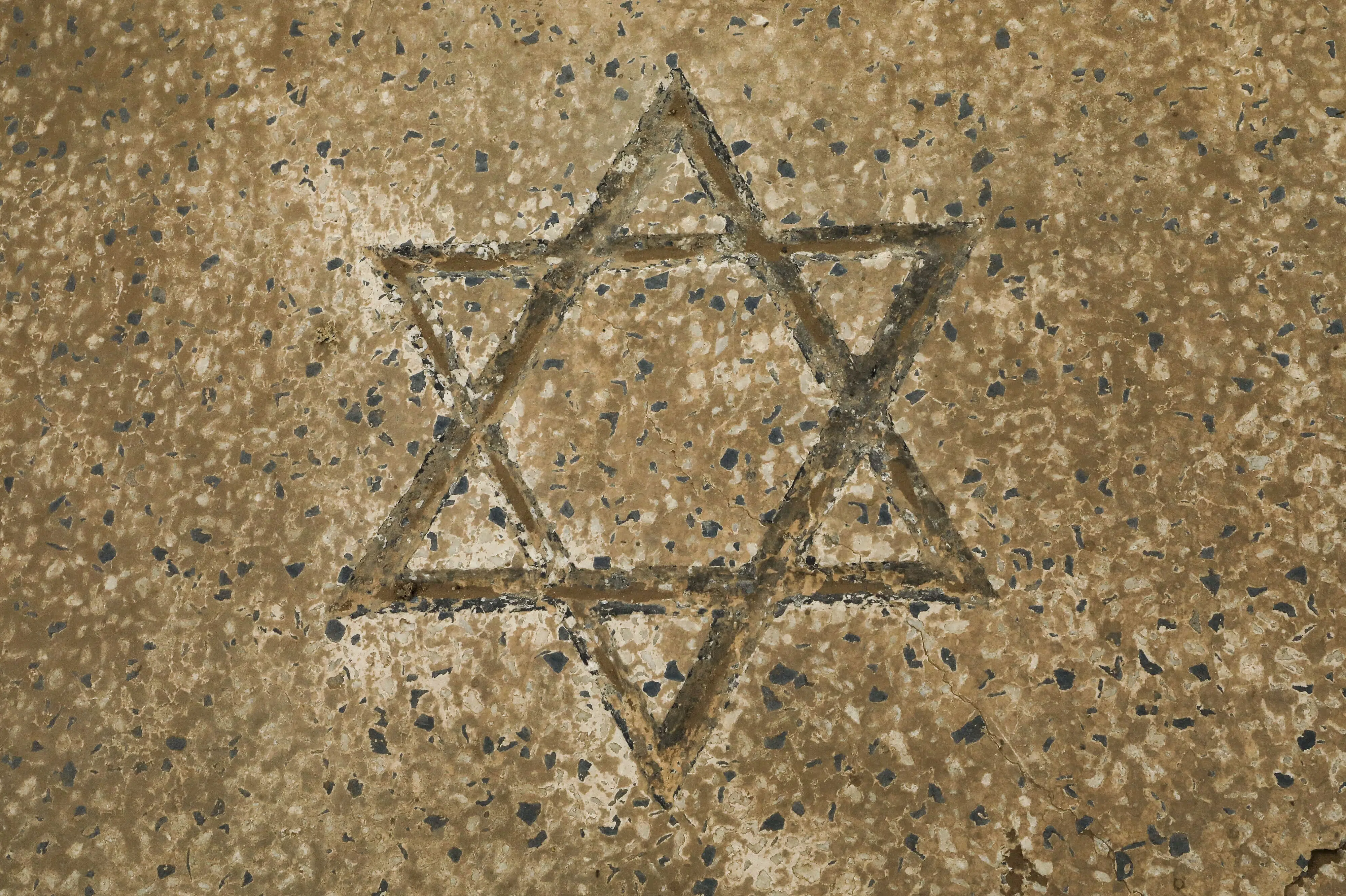 Nyt nationalt forum skal forske i antisemitisme