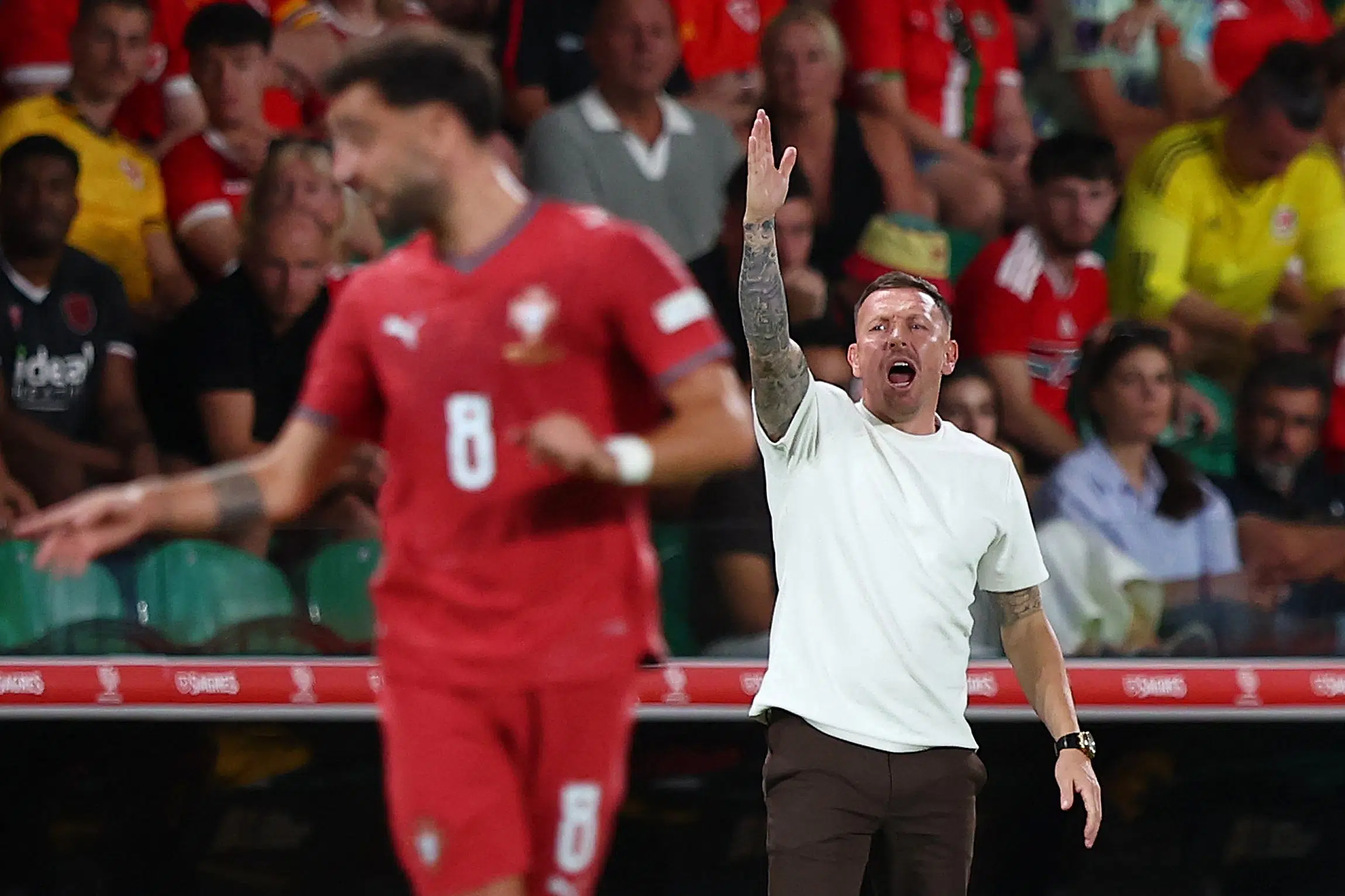Bellamy har gode minder fra Danmark: Uforståeligt vi vandt