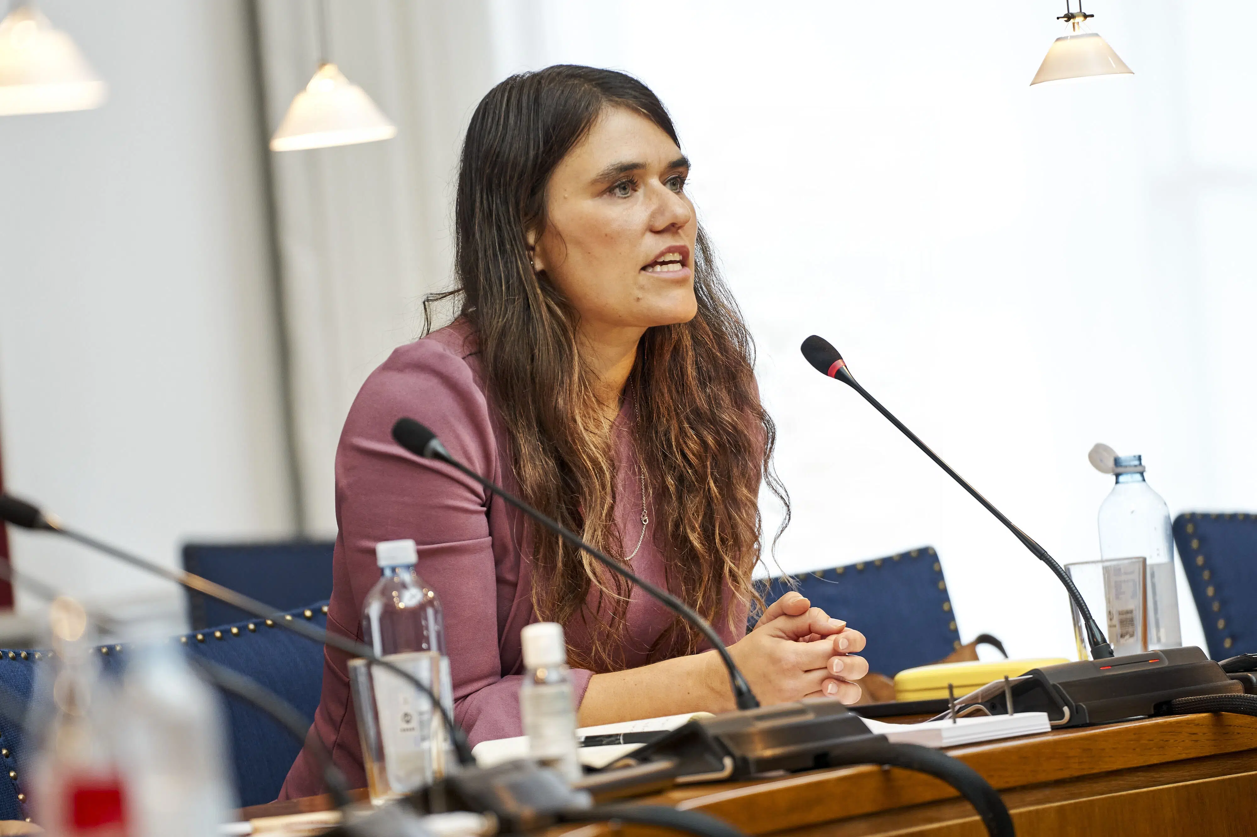 Støtteparti vil have afklaret lovlighed i regeringens svinestop hurtigt