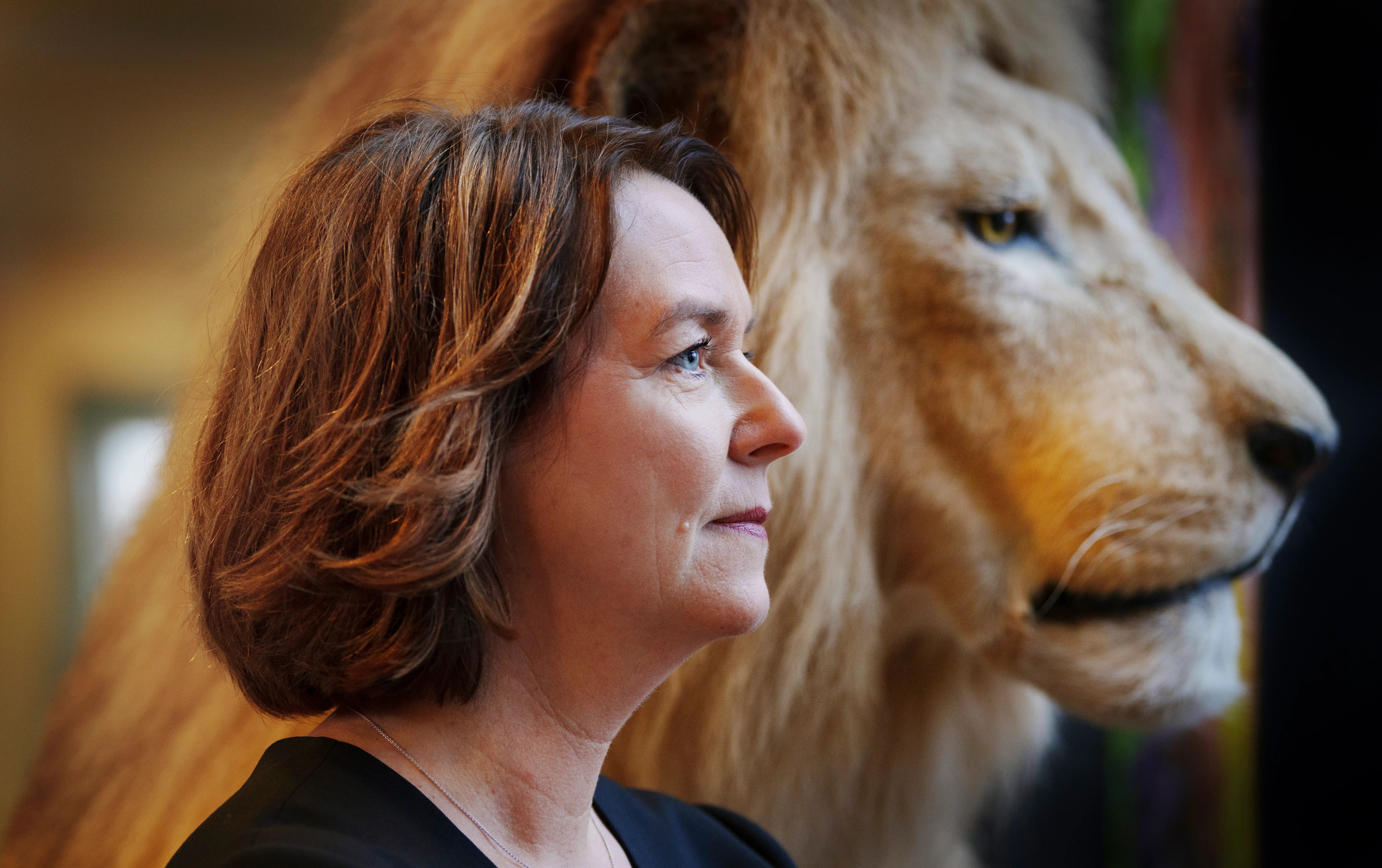 Ansatte slår alarm i København Zoo: »Jeg har aldrig oplevet så giftigt et arbejdsmiljø«