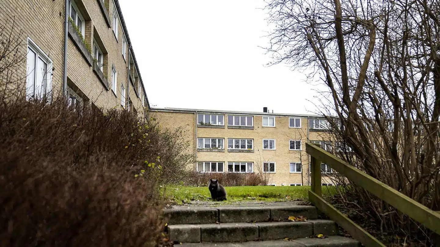 Tingbjerg Sogn i Brønshøj topper listen over sogne med flest indvandrere og efterkommere.