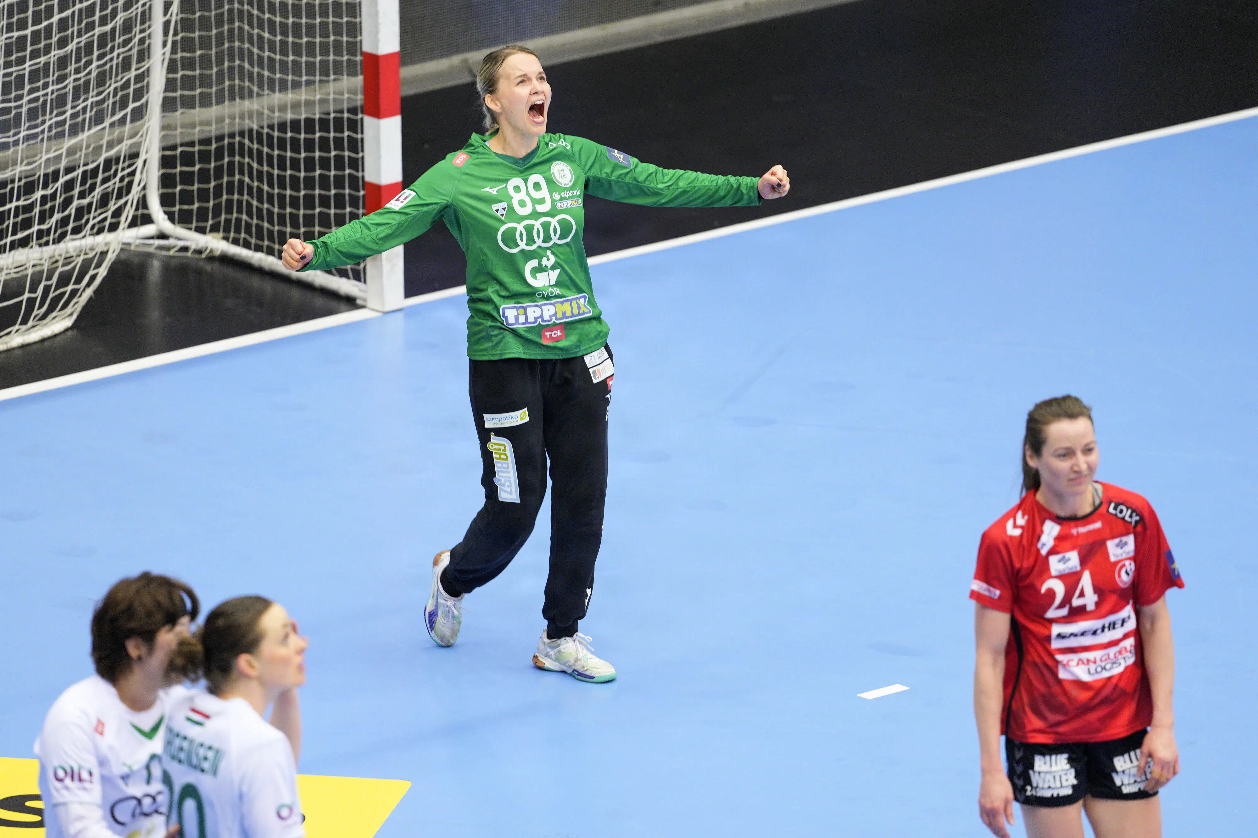 Fejl koster Odense point mod ungarsk storhold