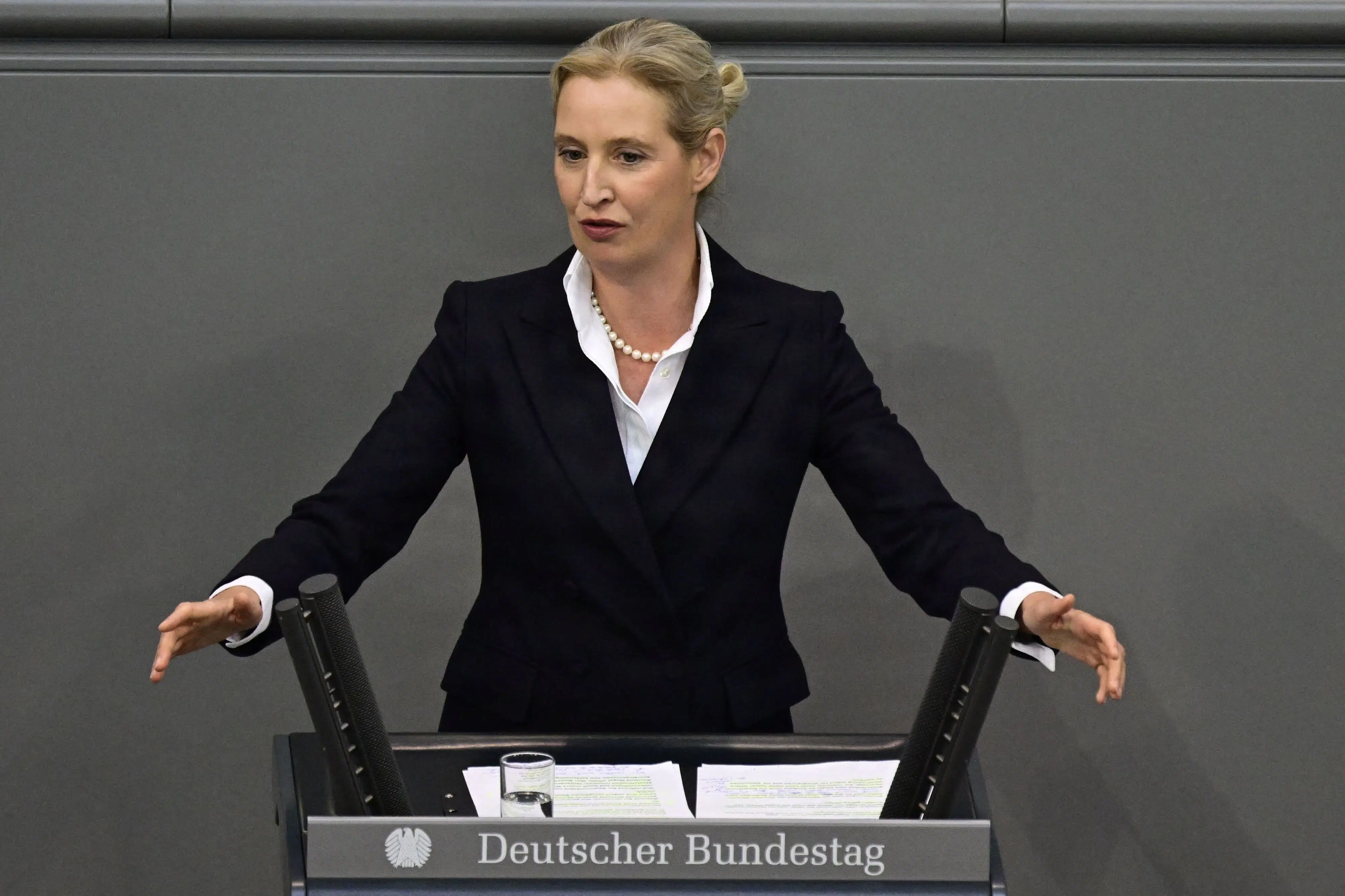 AfD vil nedlægge EU-Parlamentet og begrænse EU's budget