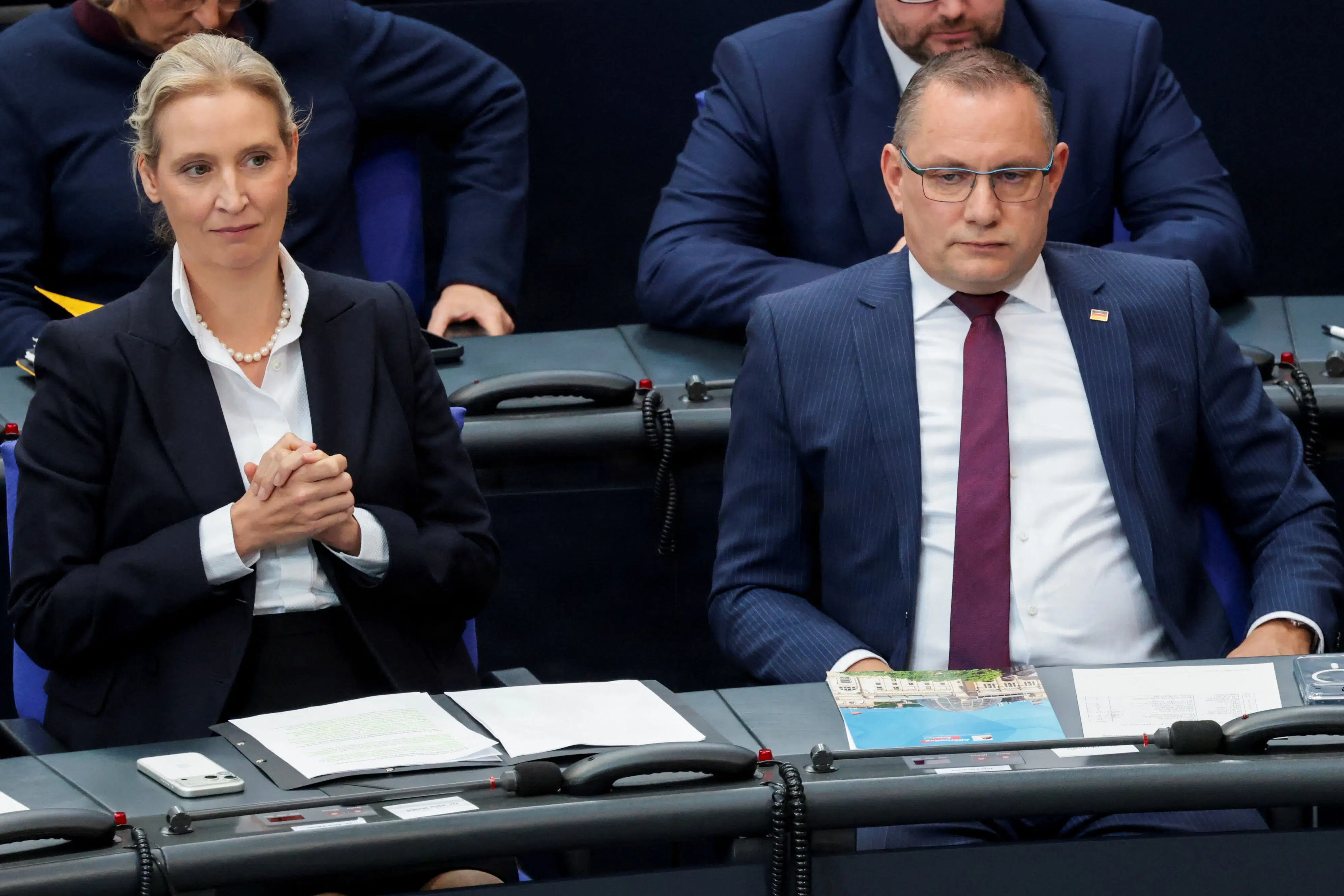 Hacker har offentliggjort 421.179 e-mails fra AfD
