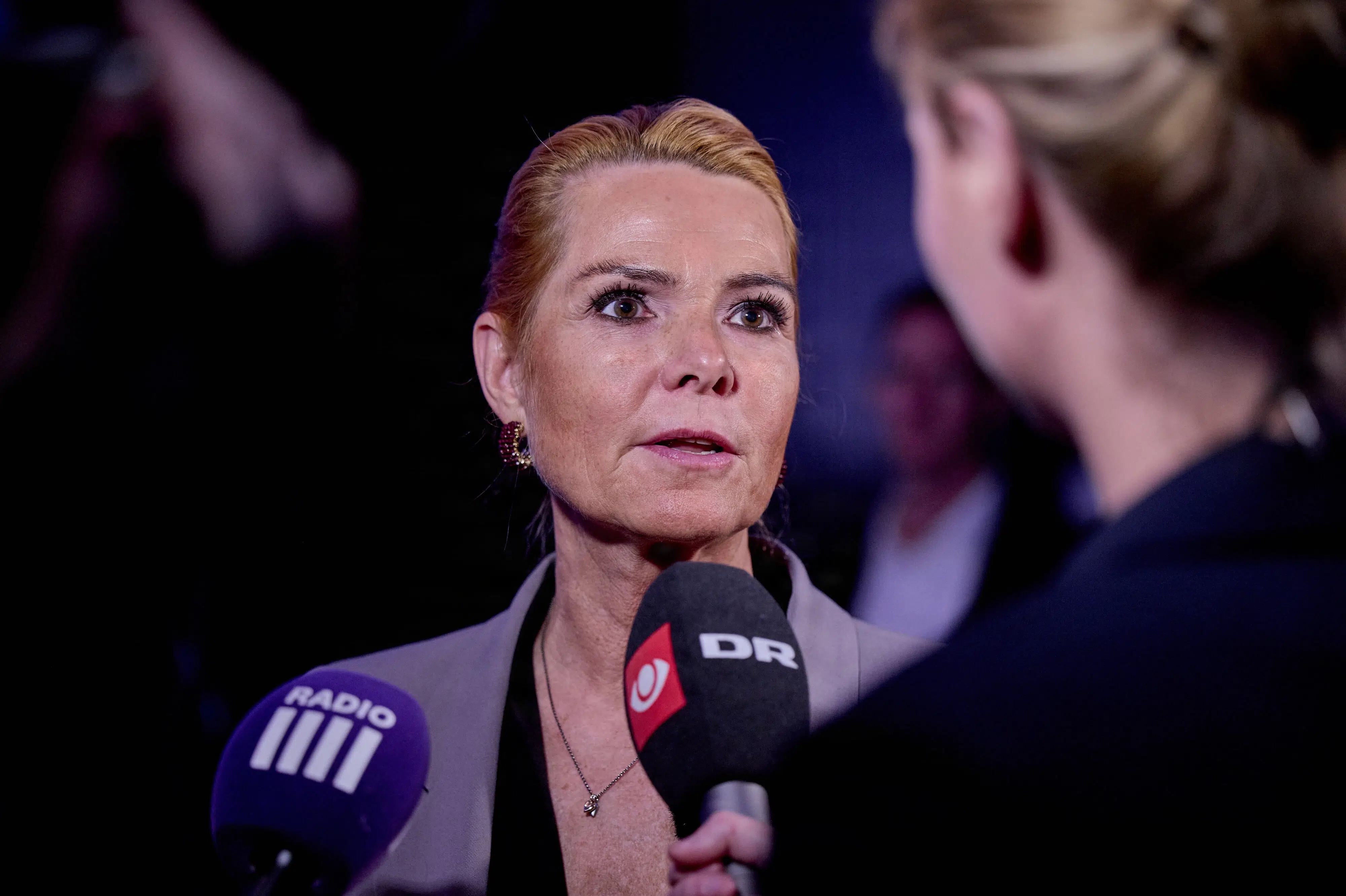 Danmarksdemokraterne vil appellere til flere villaejere