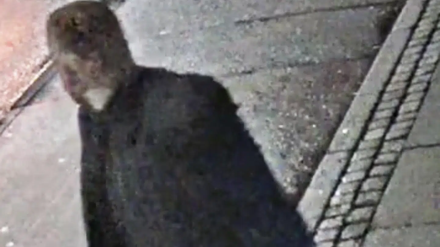 Har du set denne mand?