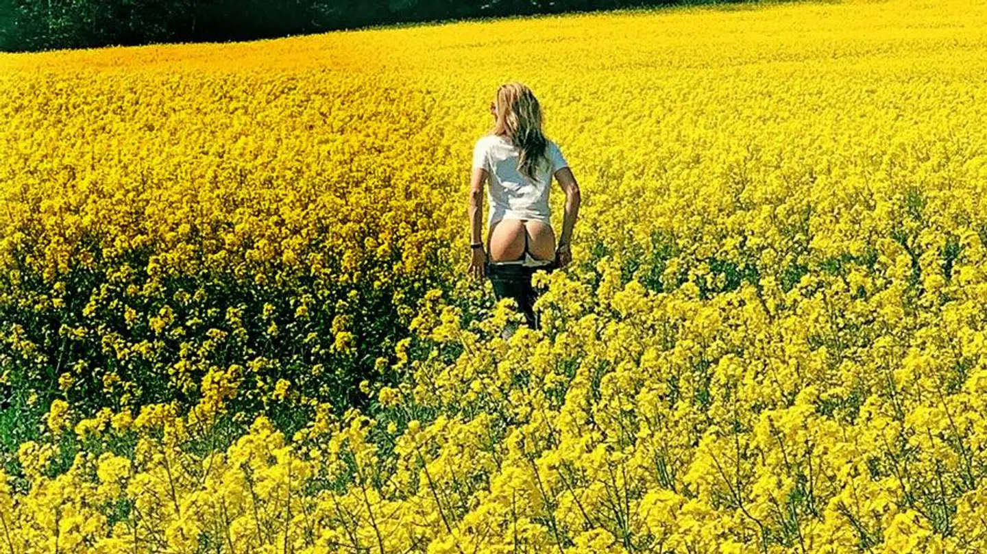 Instagram: mskovcopenhagen