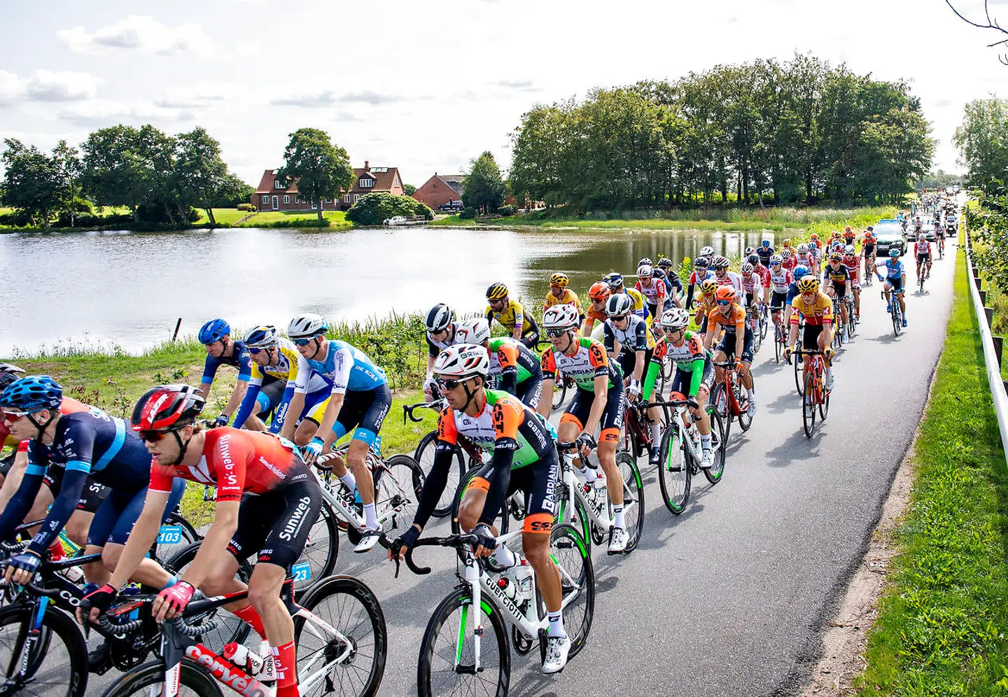 (ARKIV) Feltet i cykelløbet PostNord Danmark Rundt ved Tange Sø, onsdag 21. august 2019. Usikkerhed om sundhedssituationen og myndighedernes krav har fået cykelunionen til at aflyse Danmark Rundt. Det skriver Ritzau, onsdag 20. maj 2020. (Foto: Henning Bagger/Ritzau Scanpix)
