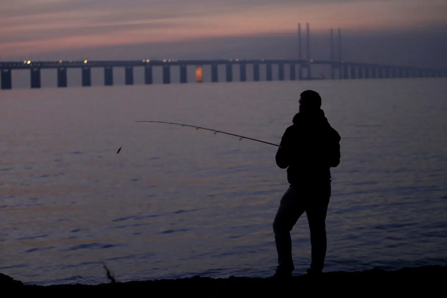 Øresundsbroen set fra Malmø. Mens den danske regering har fremlagt en række nye retningslinjer, der gør det muligt for nogle svenskere at komme til Danmark på ferie og helt umuligt for andre, undrer svensk ekspert sig nu over, hvordan det egentlig skal håndteres i praksis.