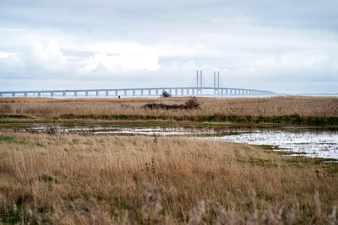 Først måtte svenskerne fra Skåne, Halland og Blekinge gerne komme til Danmark uden at fremvise en negativ coronatest. Så måtte de ikke. Det skabte i lørdags kaos ved grænseovergangene. På billedet Øresundsbroen set fra Dragør.