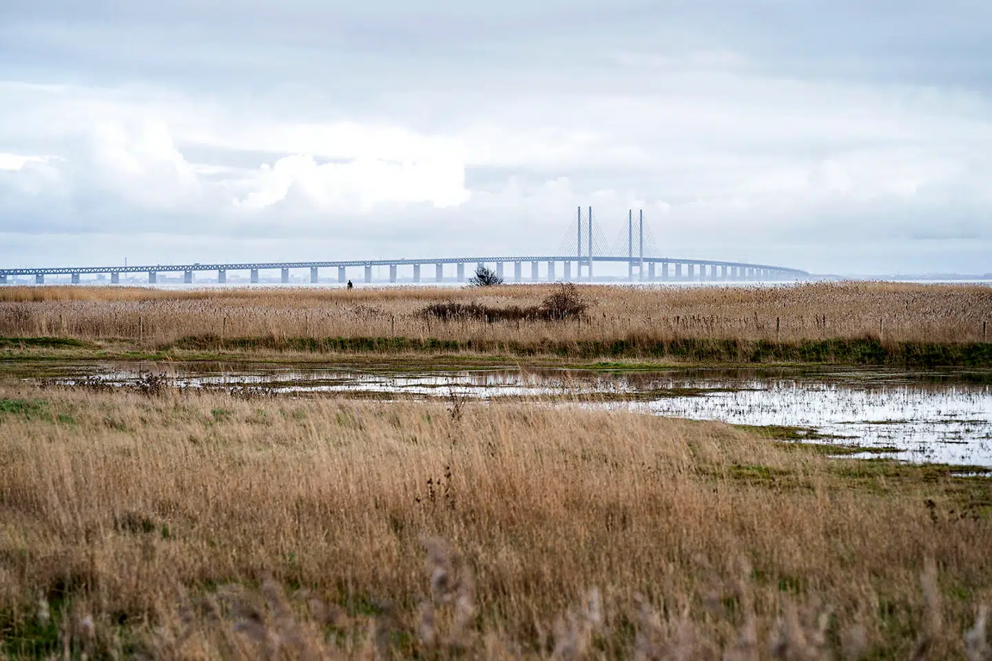 Først måtte svenskerne fra Skåne, Halland og Blekinge gerne komme til Danmark uden at fremvise en negativ coronatest. Så måtte de ikke. Det skabte i lørdags kaos ved grænseovergangene. På billedet Øresundsbroen set fra Dragør.