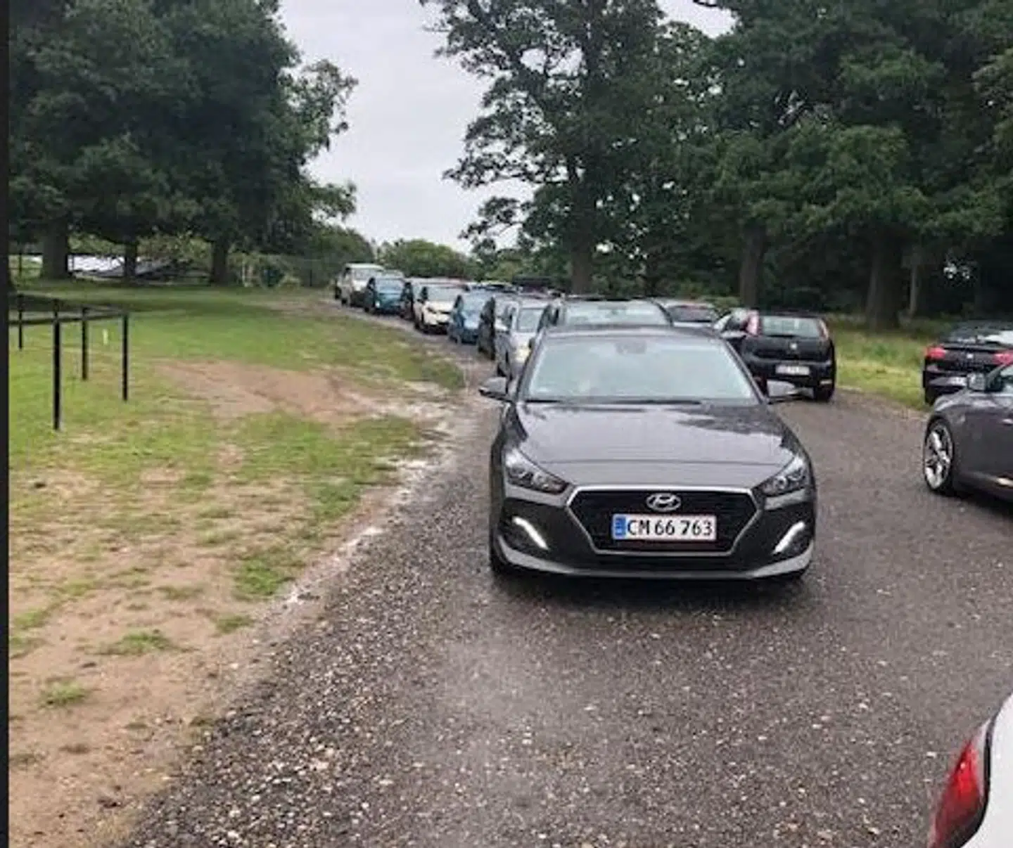 Der var flere biler end dyr i Knuthenborg Safaripark torsdag i denne uge.
