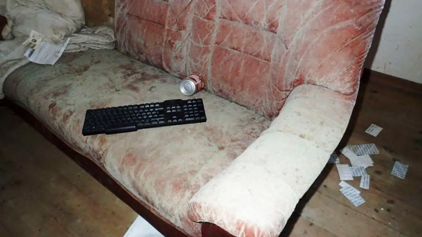 Skimmelsvamp top uden billedtekst